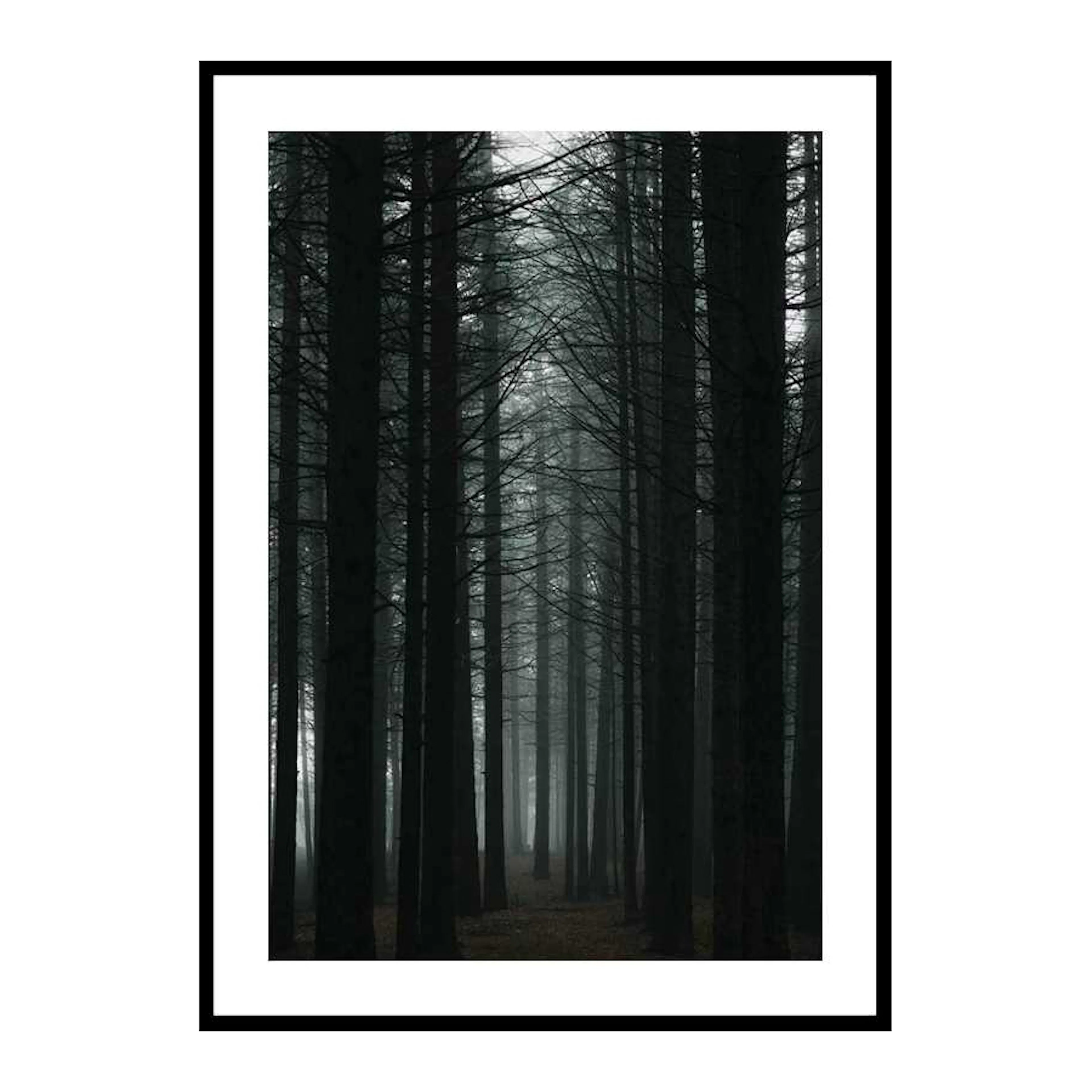 Dark Forest 30x40 cm