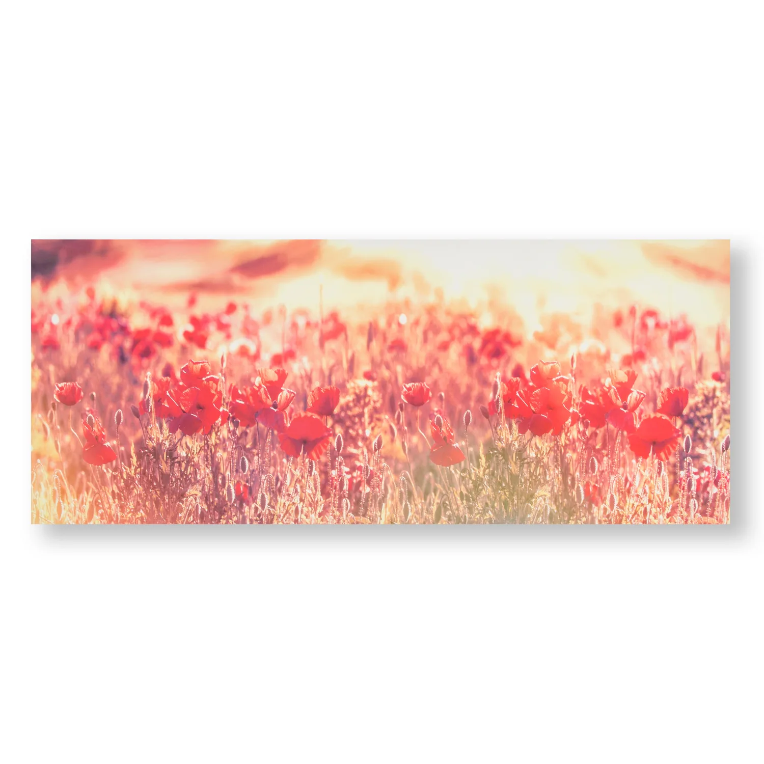 Tavla Art for the Home Poppies Poppies Röda