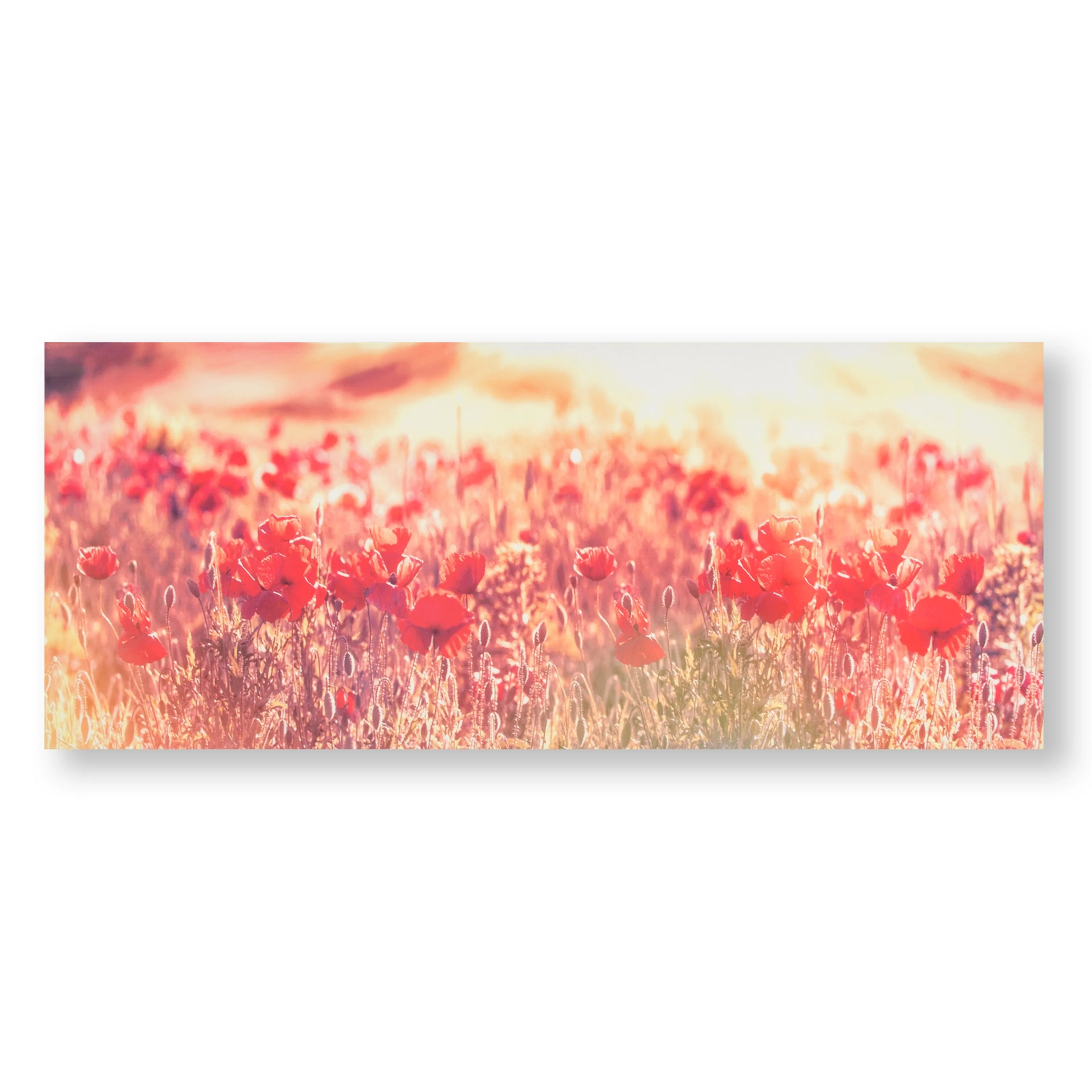 Tavla Art for the Home Poppies Poppies Röda