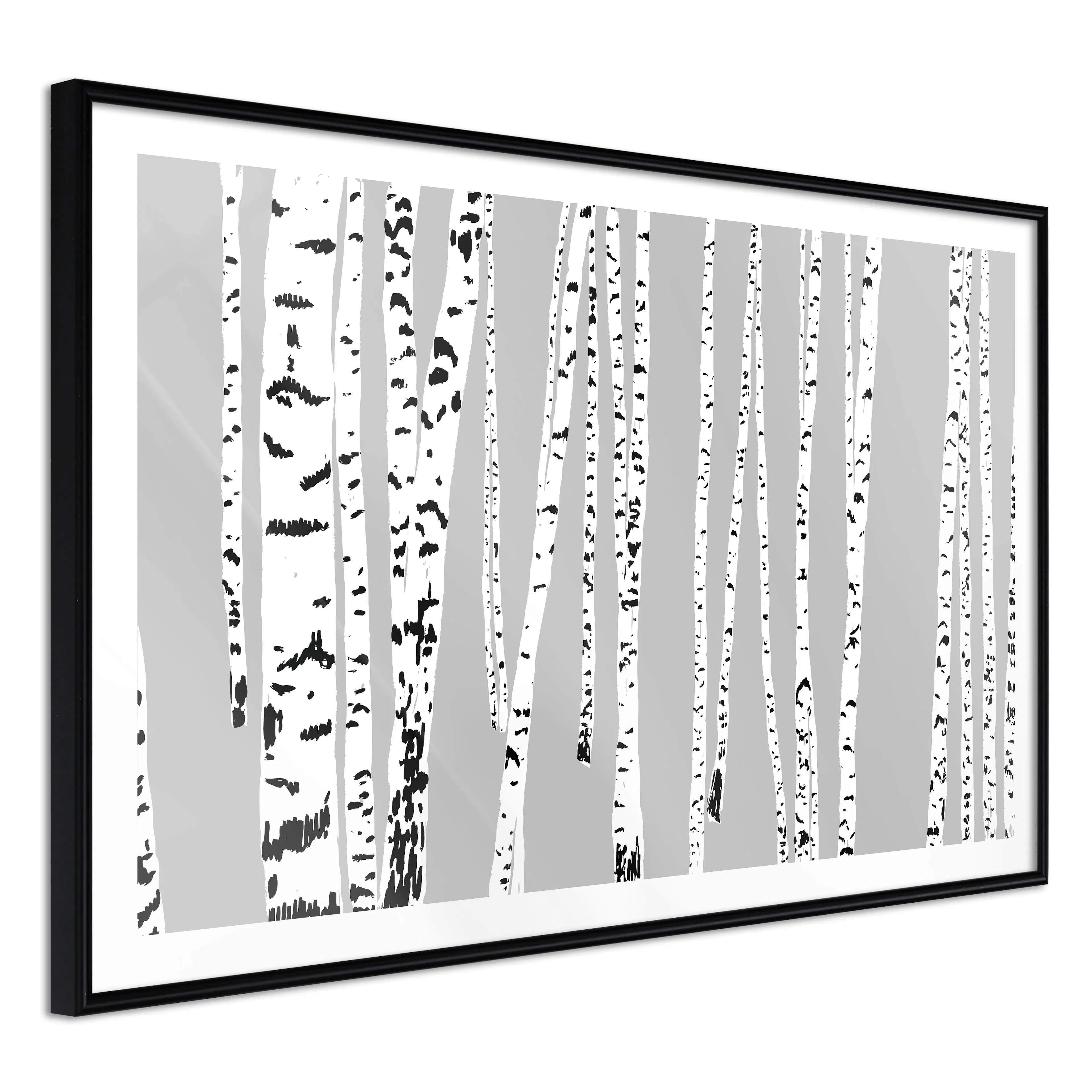 Affisch - Birch [Poster] 60x40 Svart ram, 60x40 cm