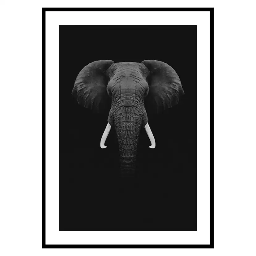 Poster Gallerix Black Elephant