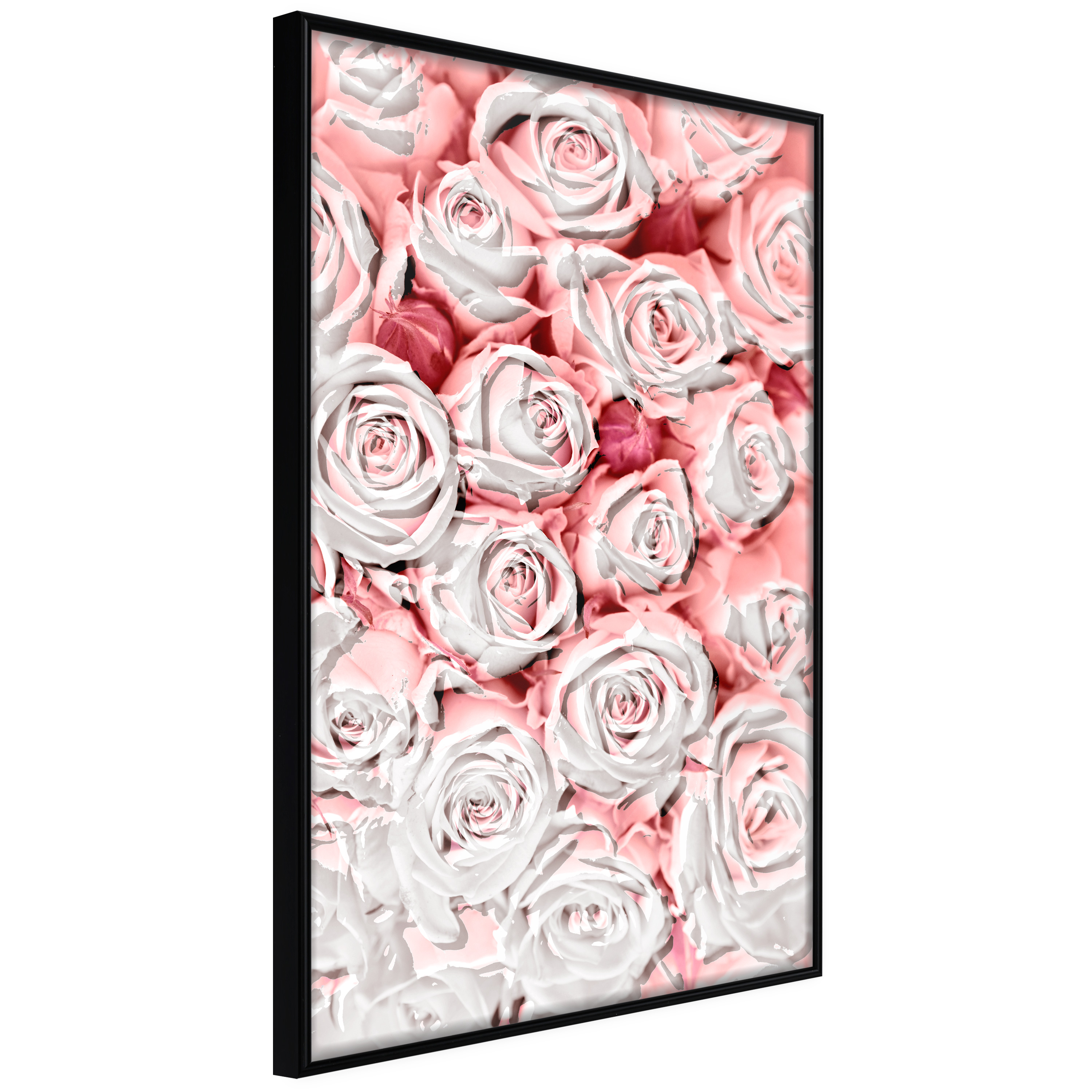 Affisch - White Roses [Poster] 20x30 Svart ram, 20x30 cm