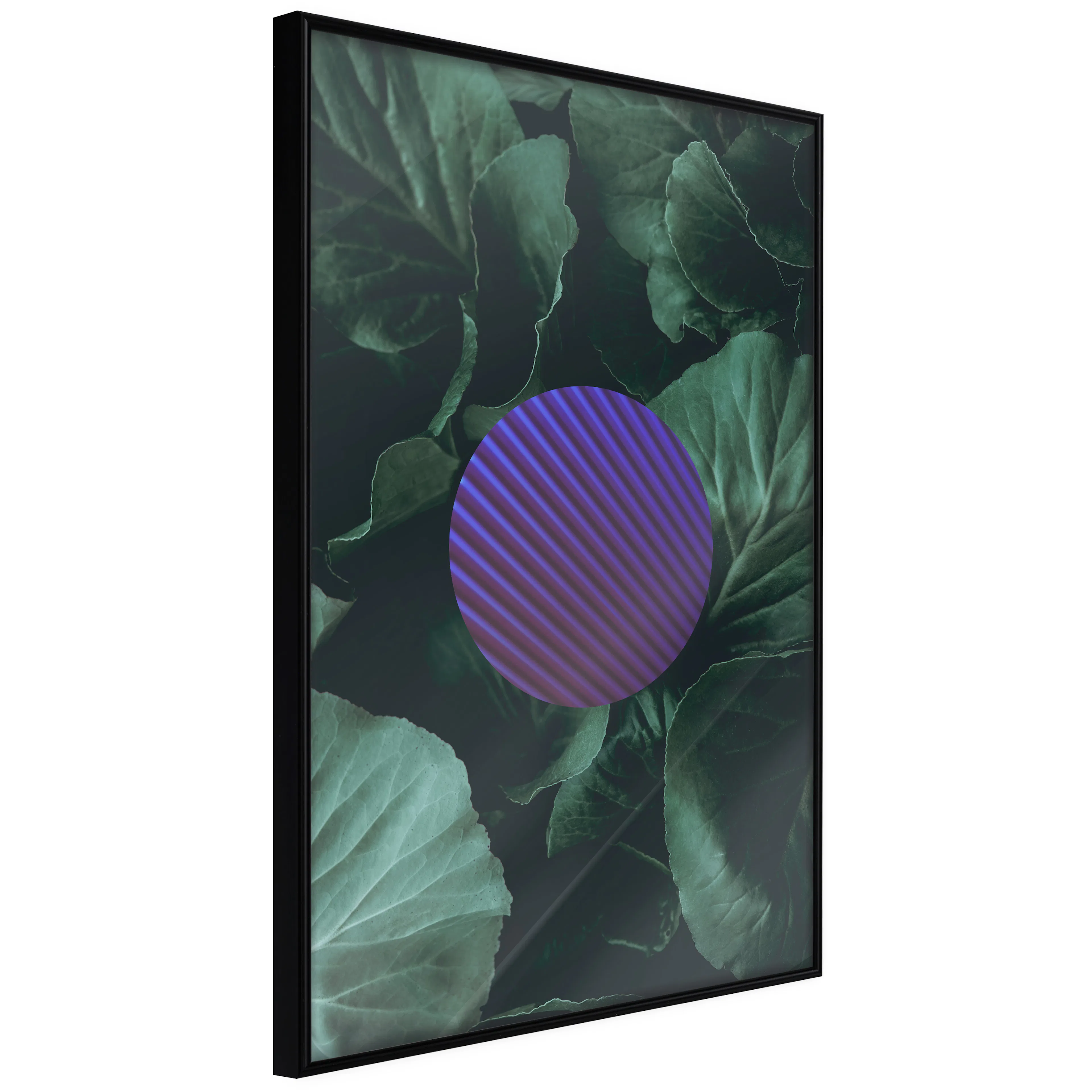 Affisch - Botanical Abstraction [Poster] 40x60 Svart ram, 40x60 cm