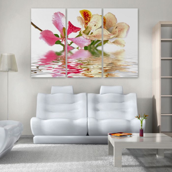 Tavla Arkiio Orchid With Colorful Spots