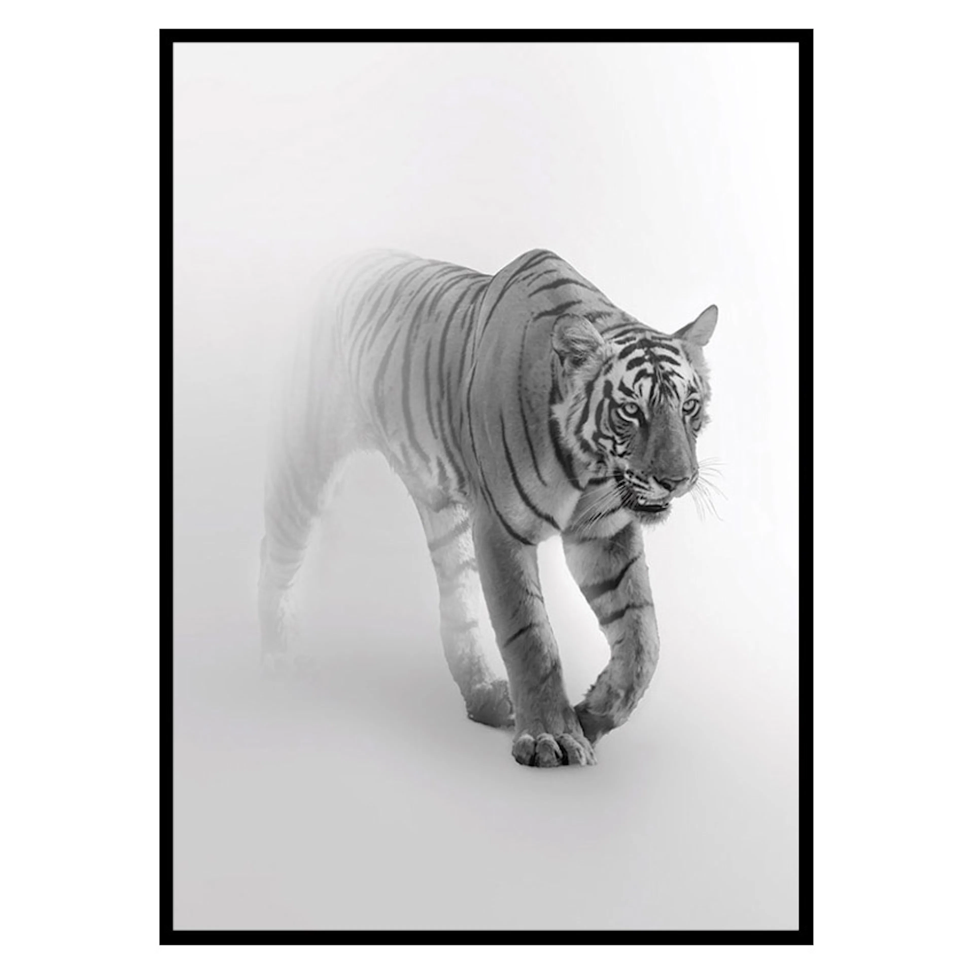 Poster Gallerix Faded Tiger