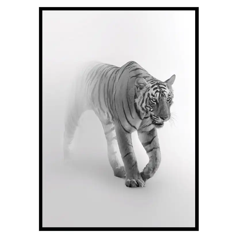 Poster Gallerix Faded Tiger