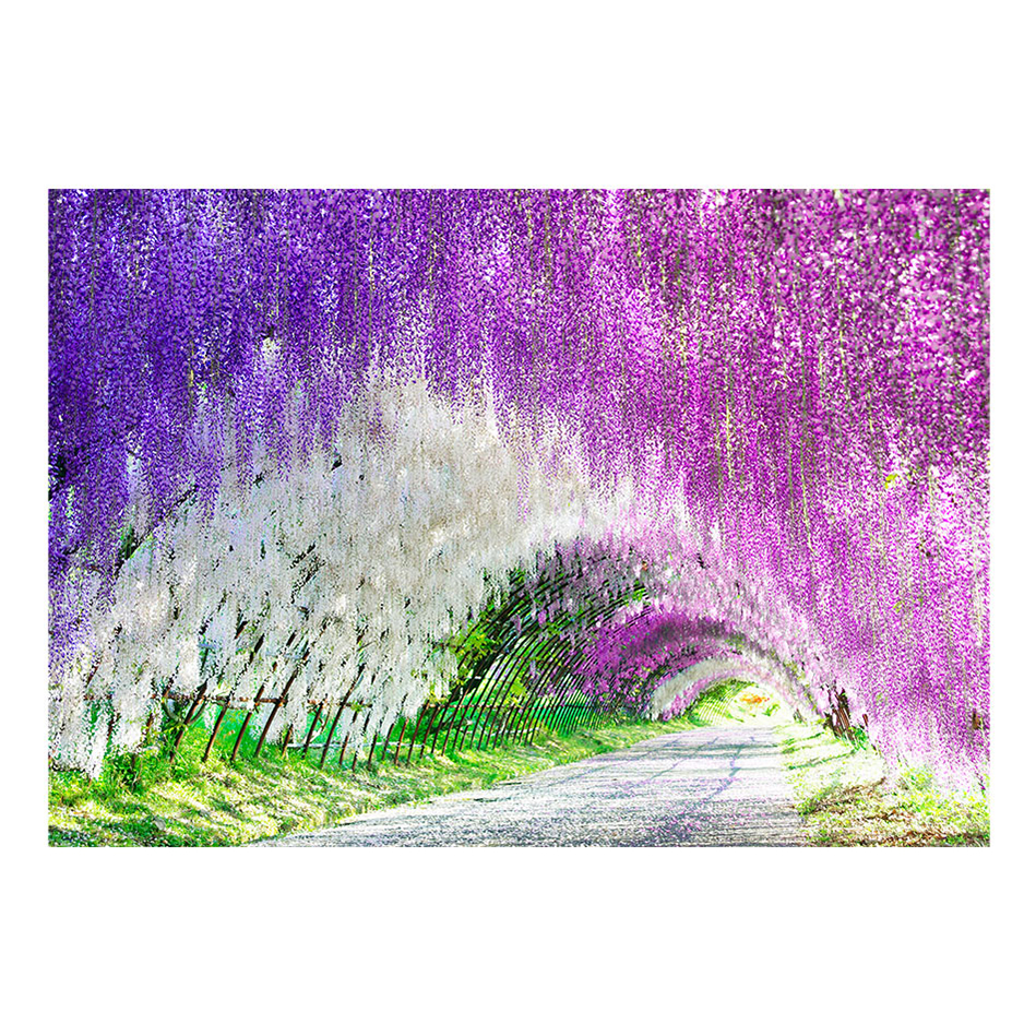 Fototapet Arkiio Enchanted Garden