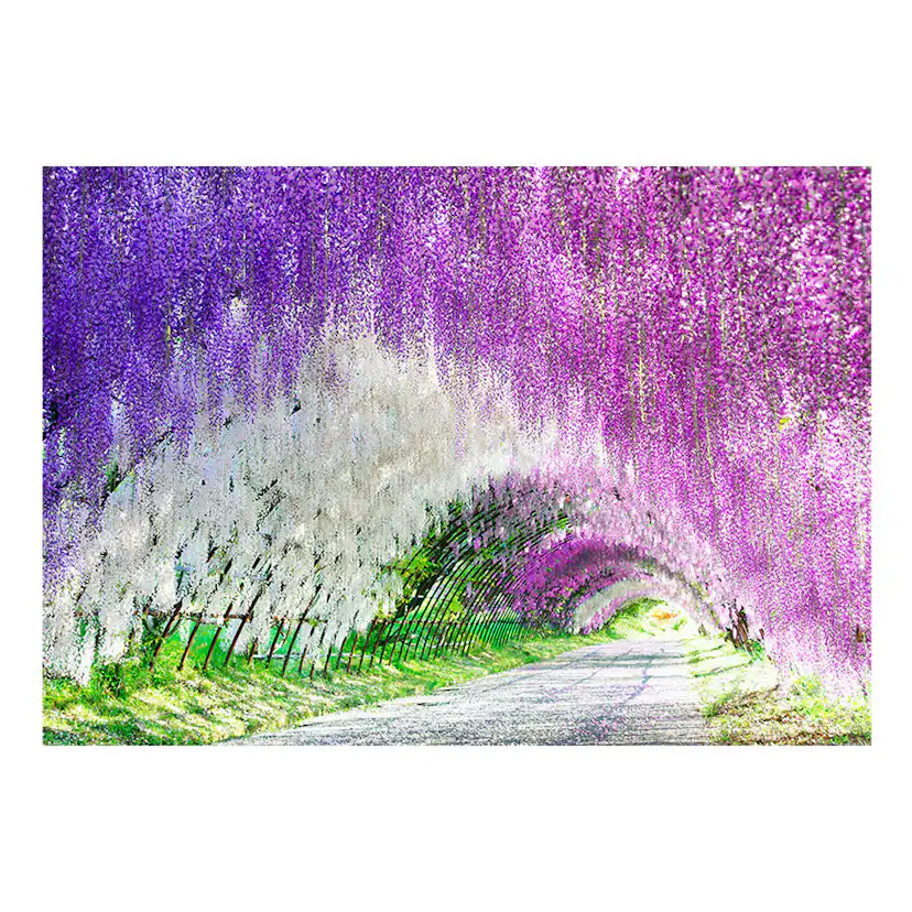 Fototapet Arkiio Enchanted Garden