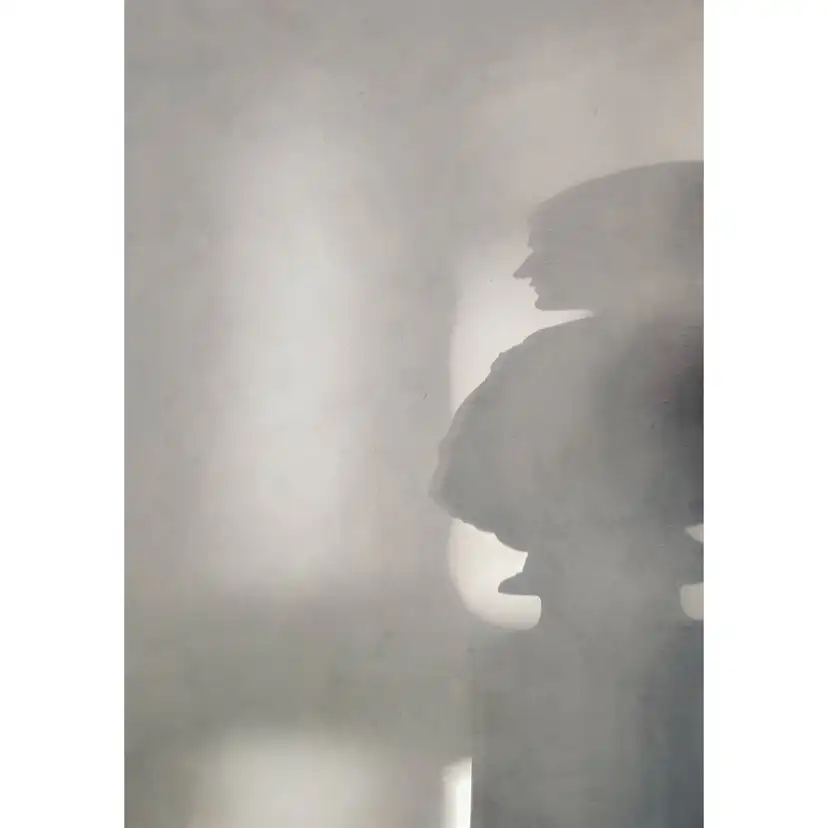 Posters Venture Home Human Shadow Vit/grå