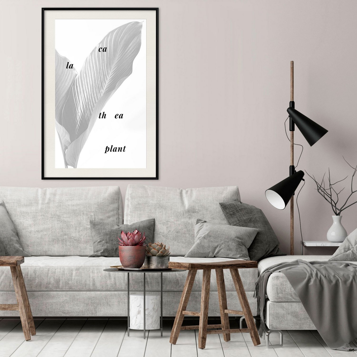 Affisch - Calathea Plant [Poster] 40x60 Svart ram med passepartout, 40x60 cm