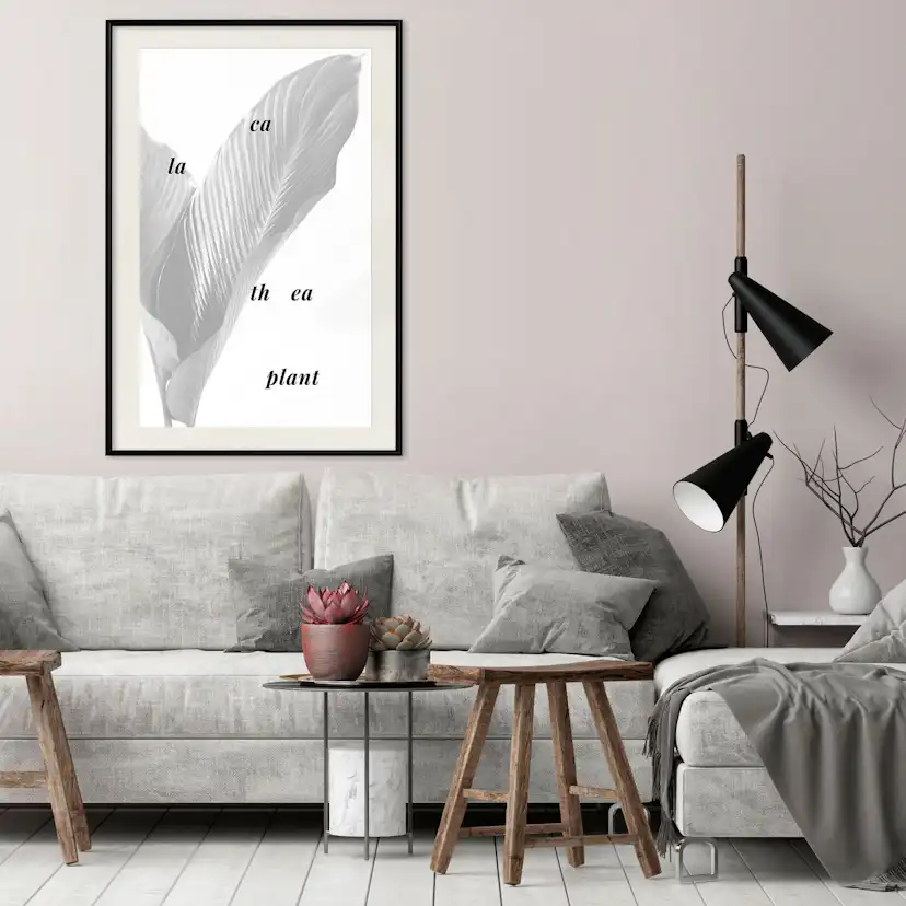 Poster Artgeist Affisch Calathea Plant