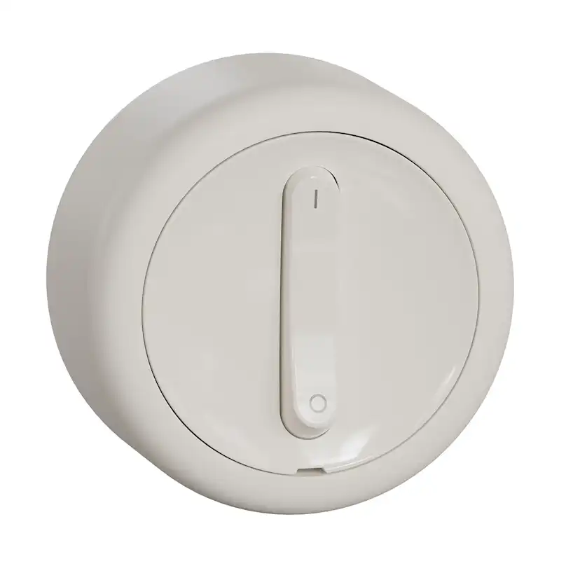 Strömbrytare Schneider Electric Renova 2-pol