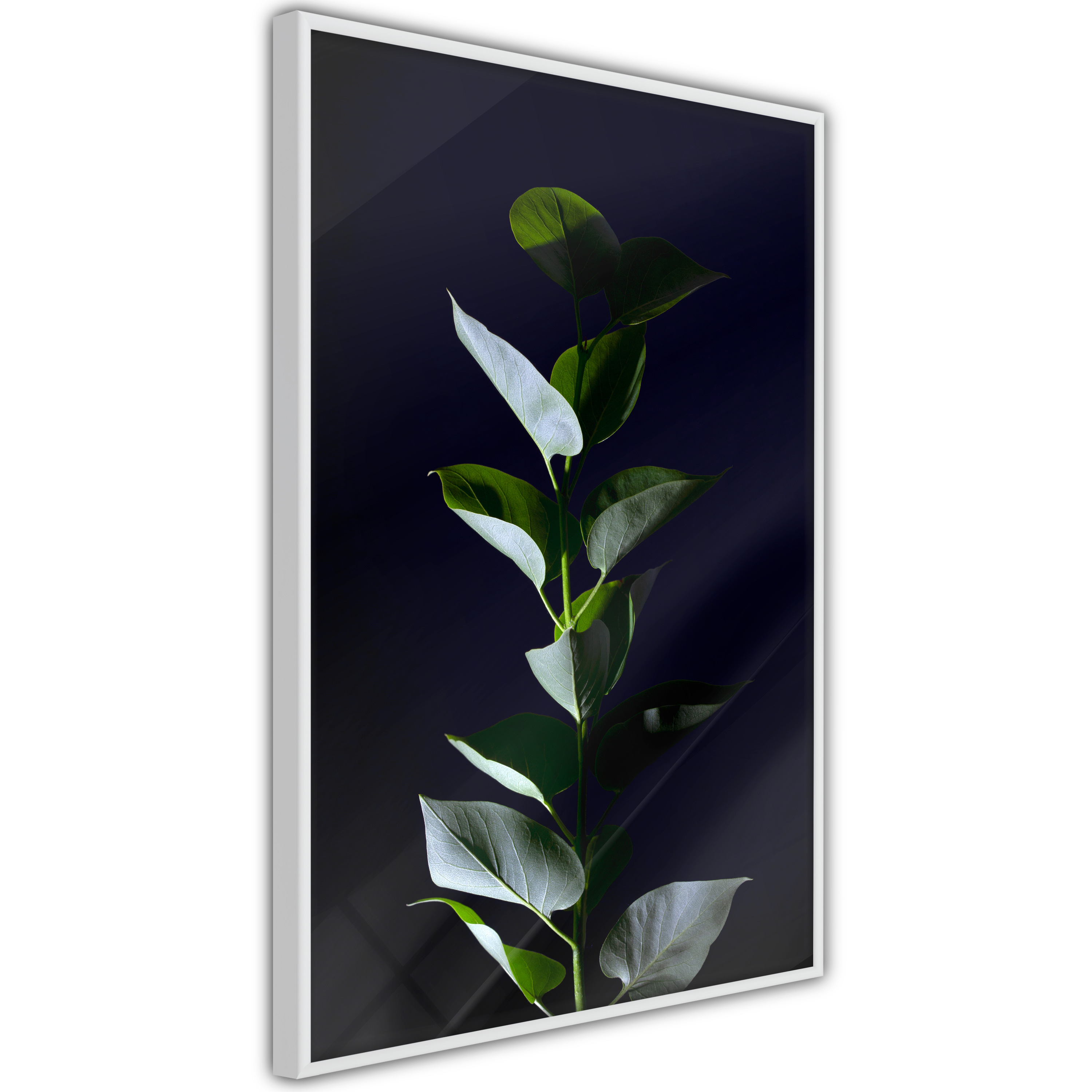 Poster Artgeist Affisch In the Moonlight