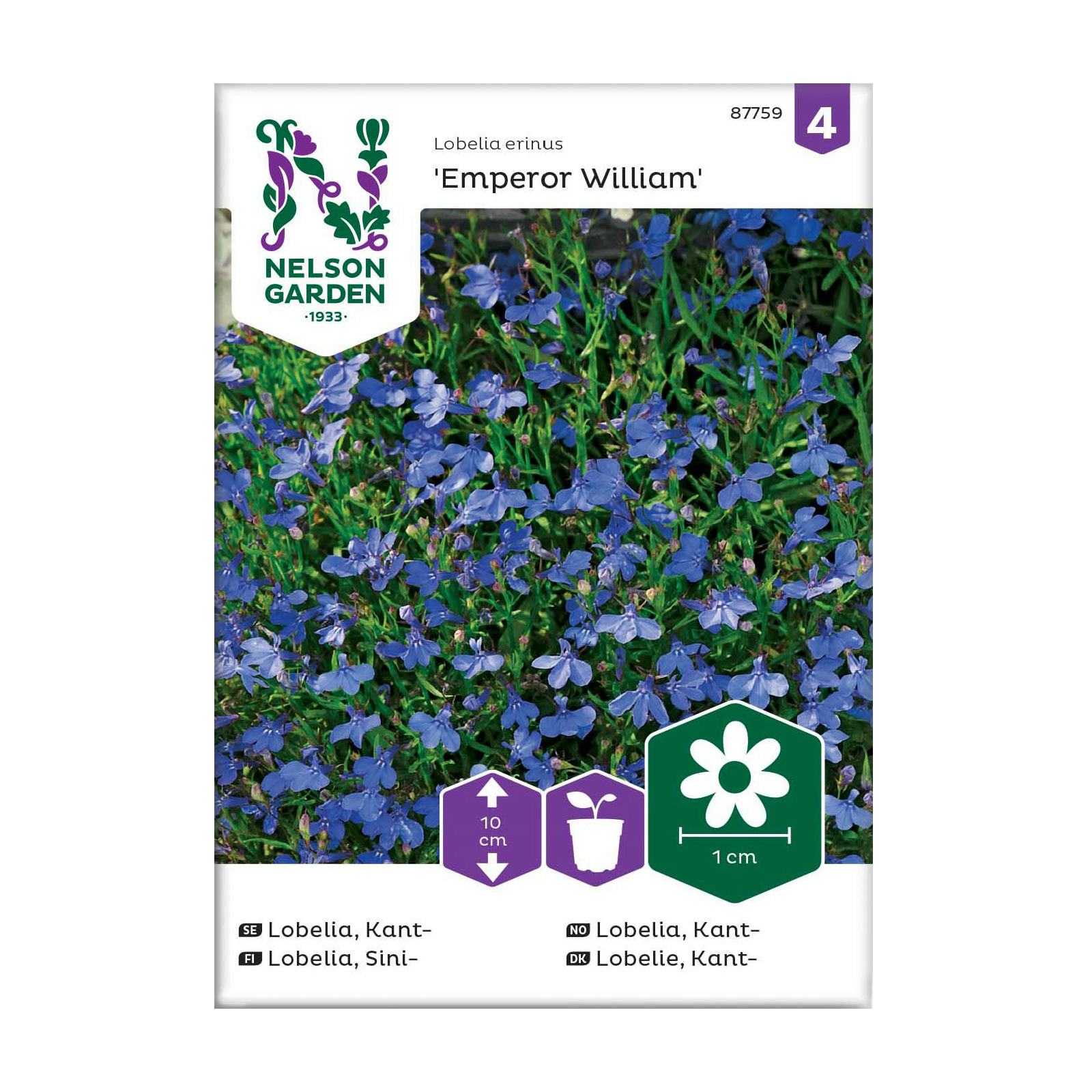 Frö Kantlobelia Nelson Garden Emperor William