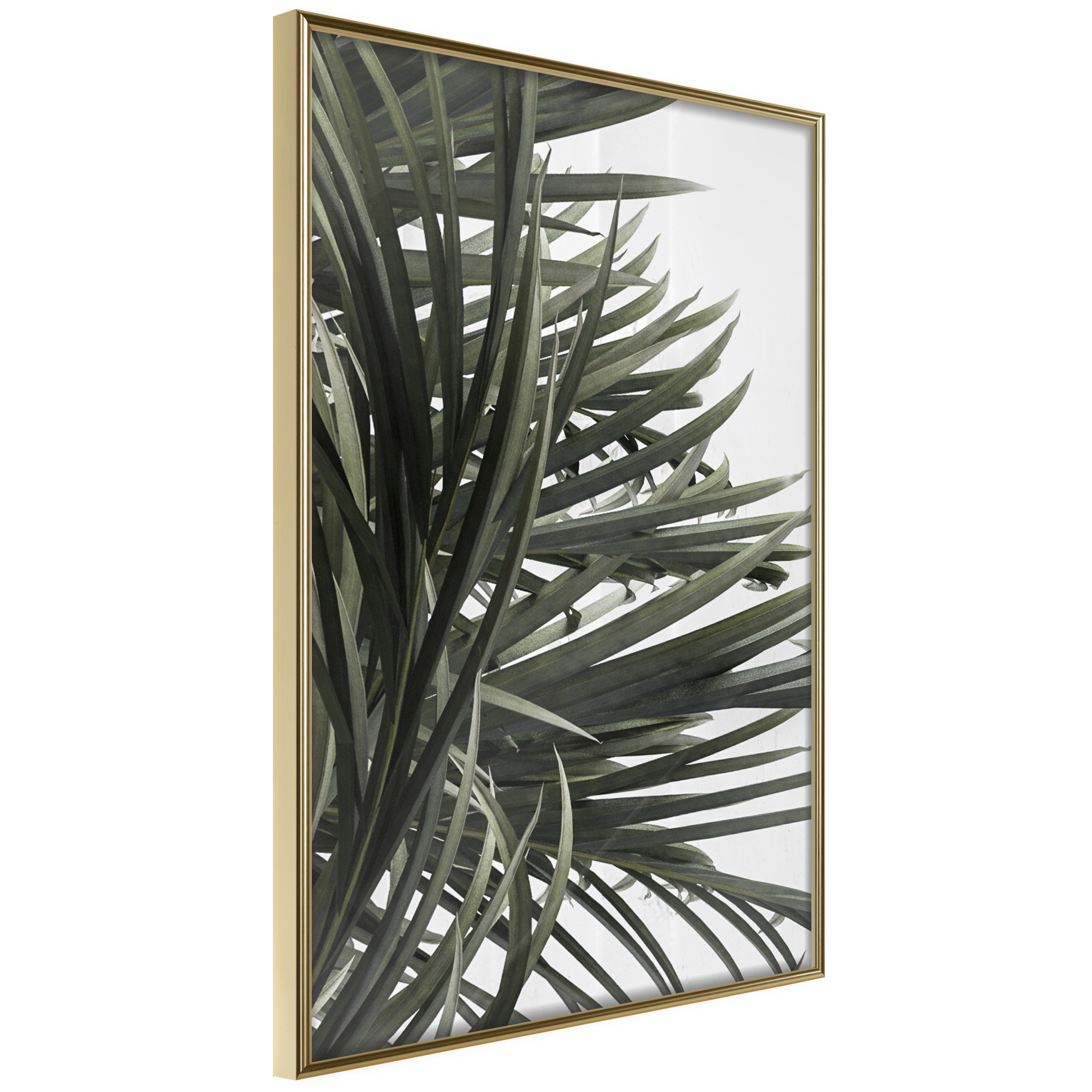 Affisch - In the Shade of Palm Trees [Poster] 20x30 Guld ram, 20x30 cm
