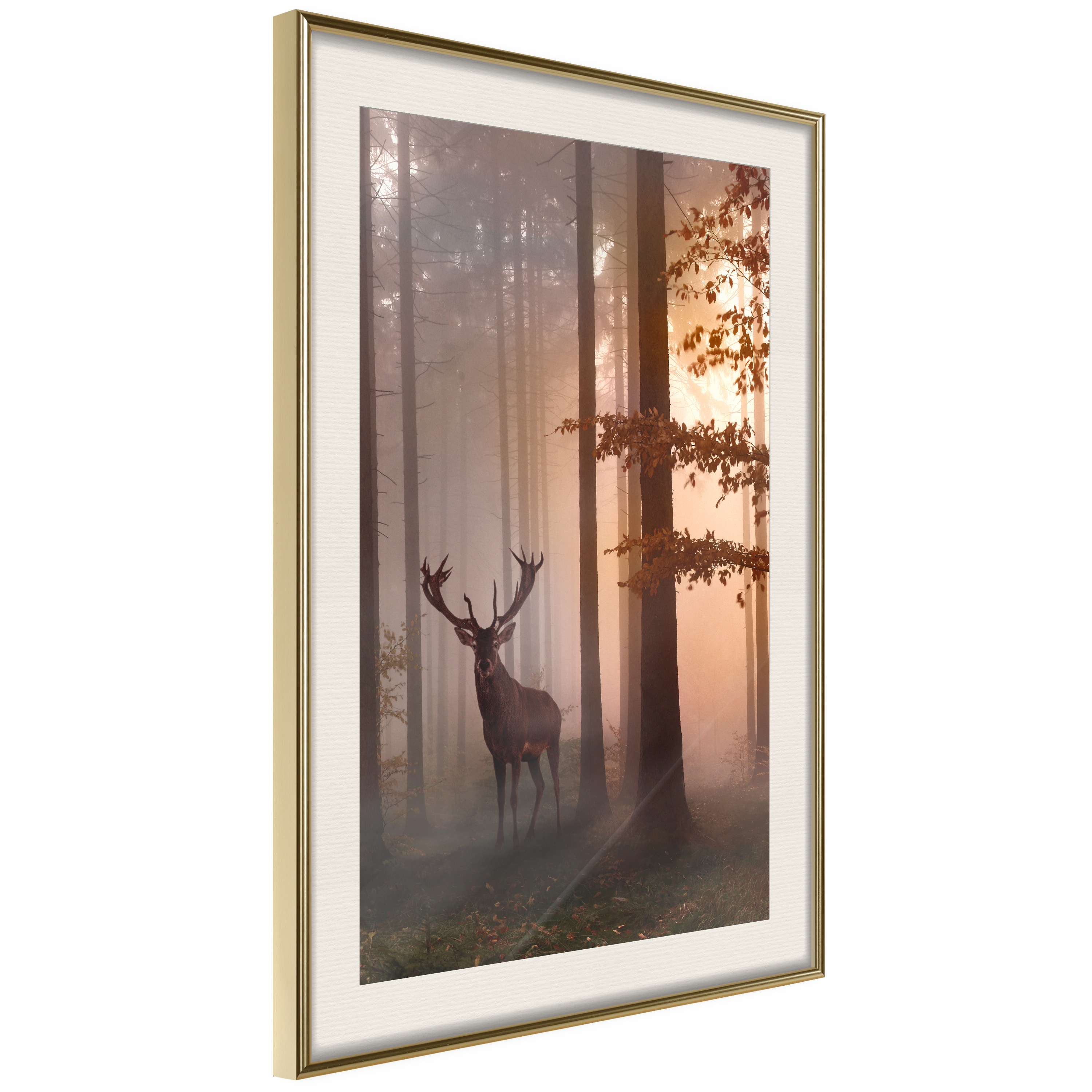 Affisch - Morning [Poster] 40x60 Guld ram med passepartout, 40x60 cm