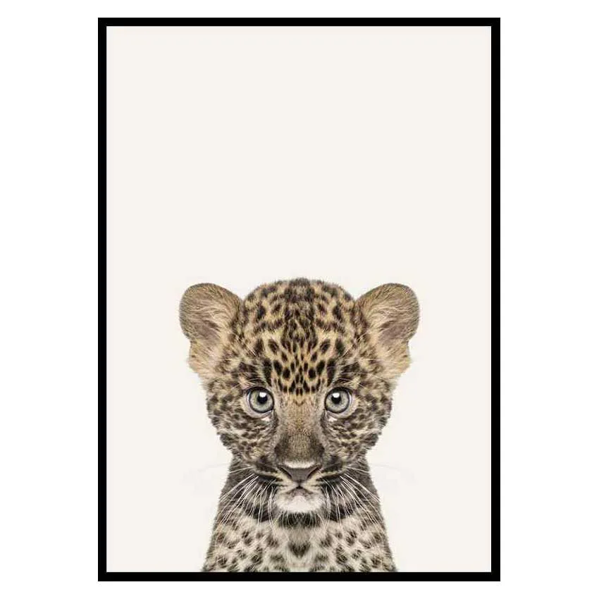 Poster Gallerix Baby Leopard