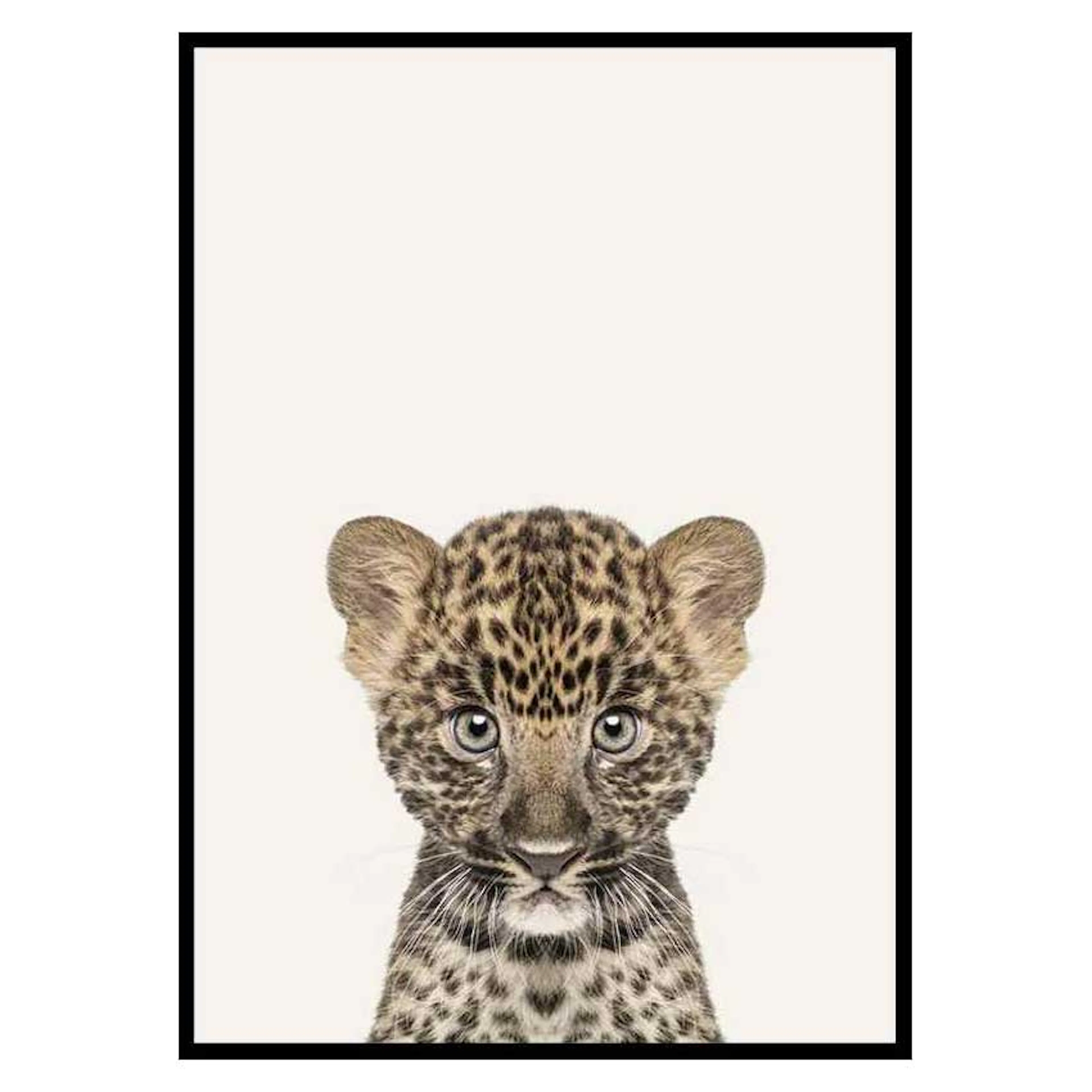 Poster Gallerix Baby Leopard