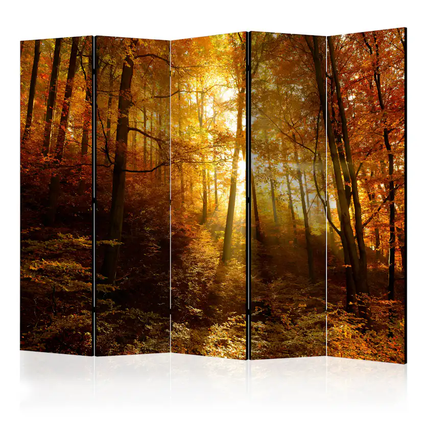 Rumsavdelare Arkiio Autumn Illumination II 225x172 cm