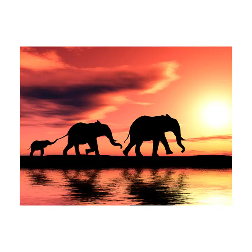 Fototapet Arkiio Elephants: Family
