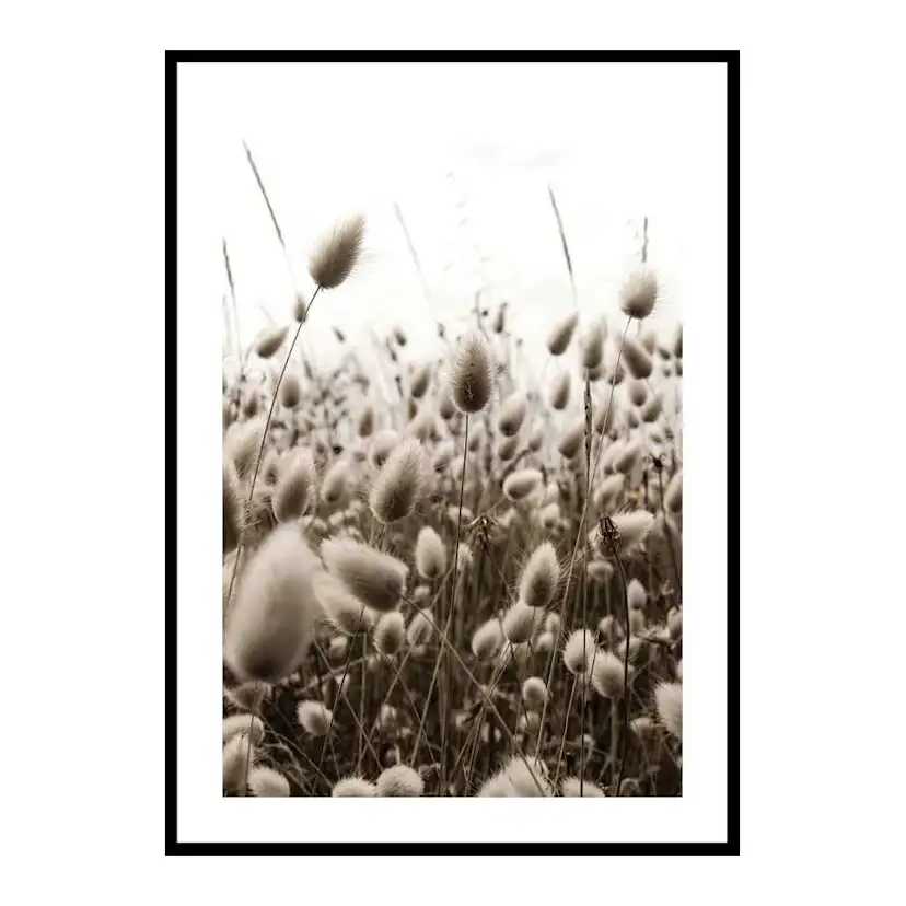 Poster Gallerix Reeds Field