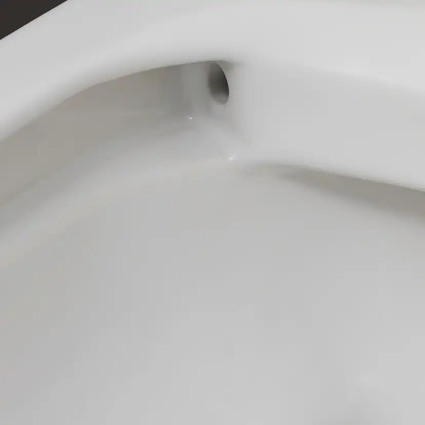 Vägghängd Toalettstol Duravit ME by Starck 252909 utan Toalettsits