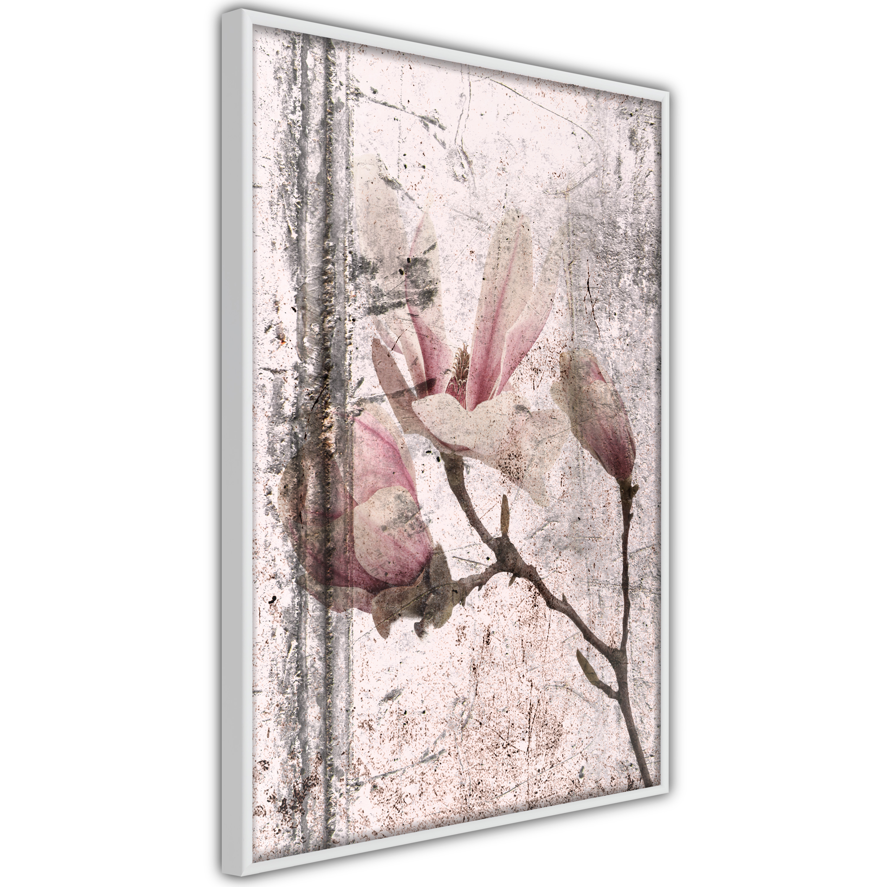 Poster Artgeist Affisch Exquisite Magnolia