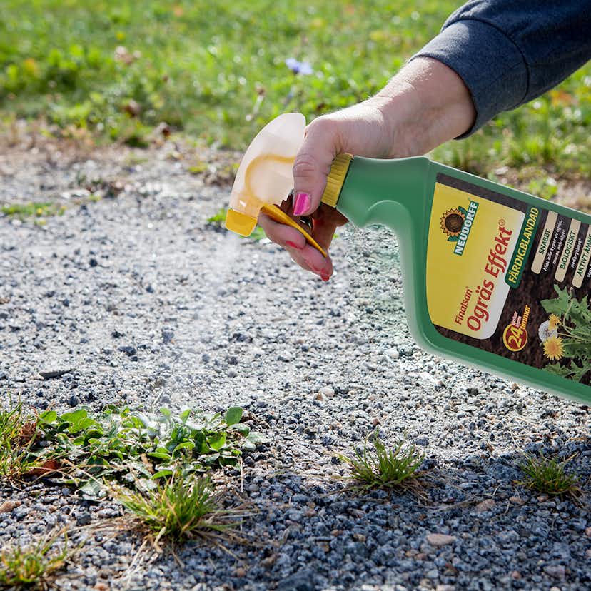 Ogräsbekämpning Neudorff Effekt 1L Spray