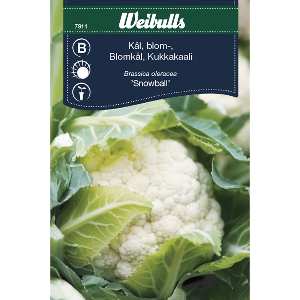 Frö Kål Weibulls Blomkål