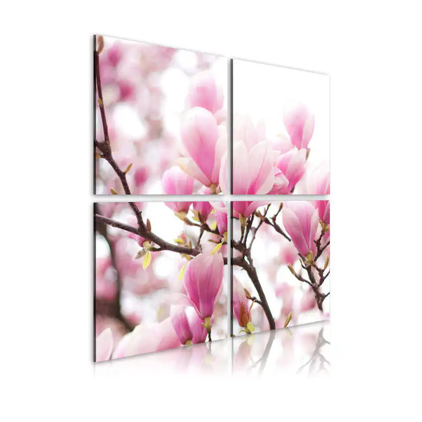 Tavla Arkiio Blommande Magnolia Träd