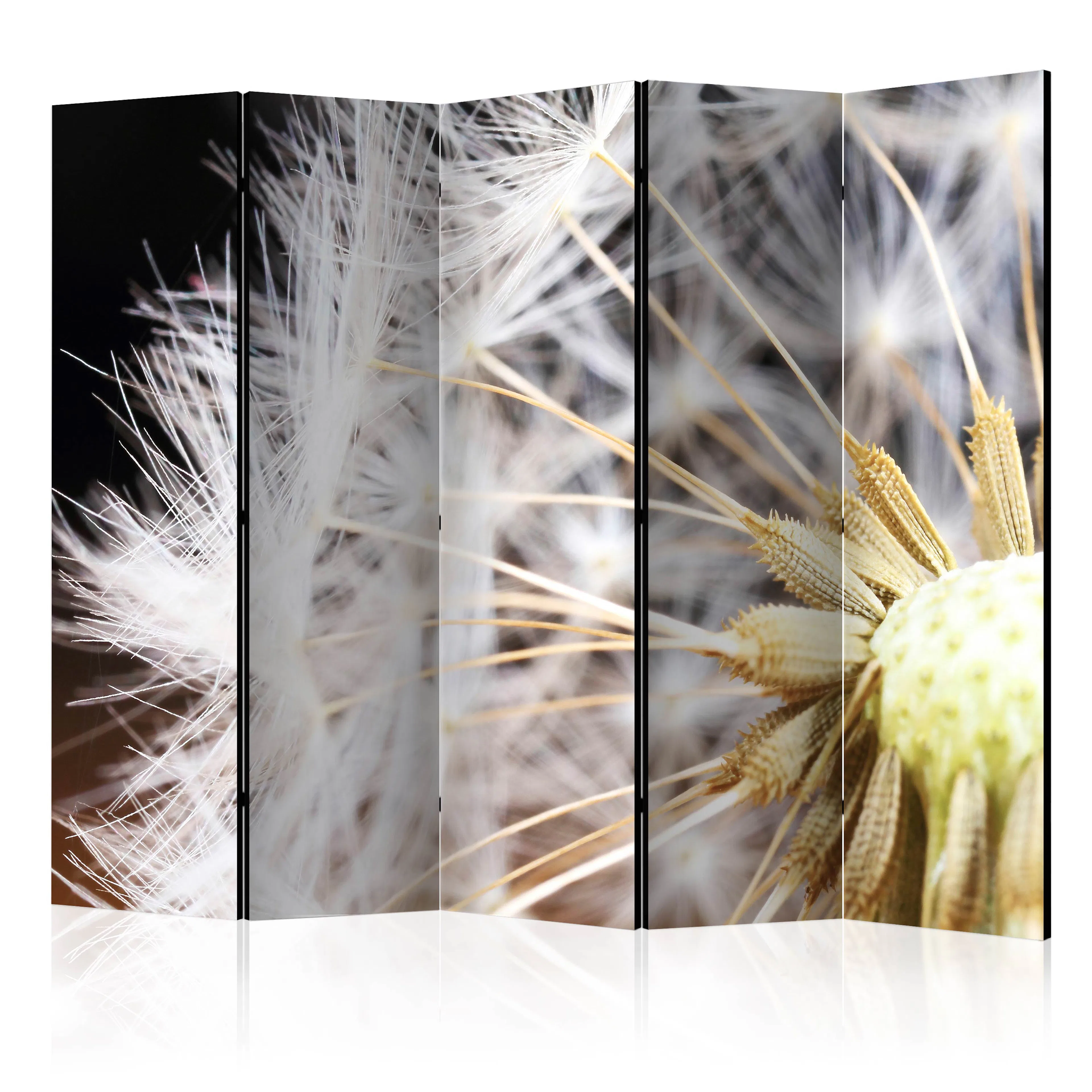 Rumsavdelare Arkiio Fluffy Dandelion II 225x172 cm