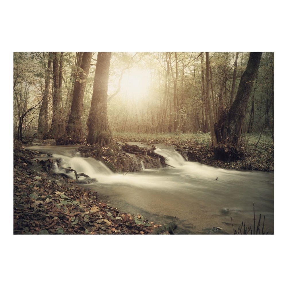 Självhäftande fototapet - Forest Cascade 245x175 Storlek: 245x175 cm