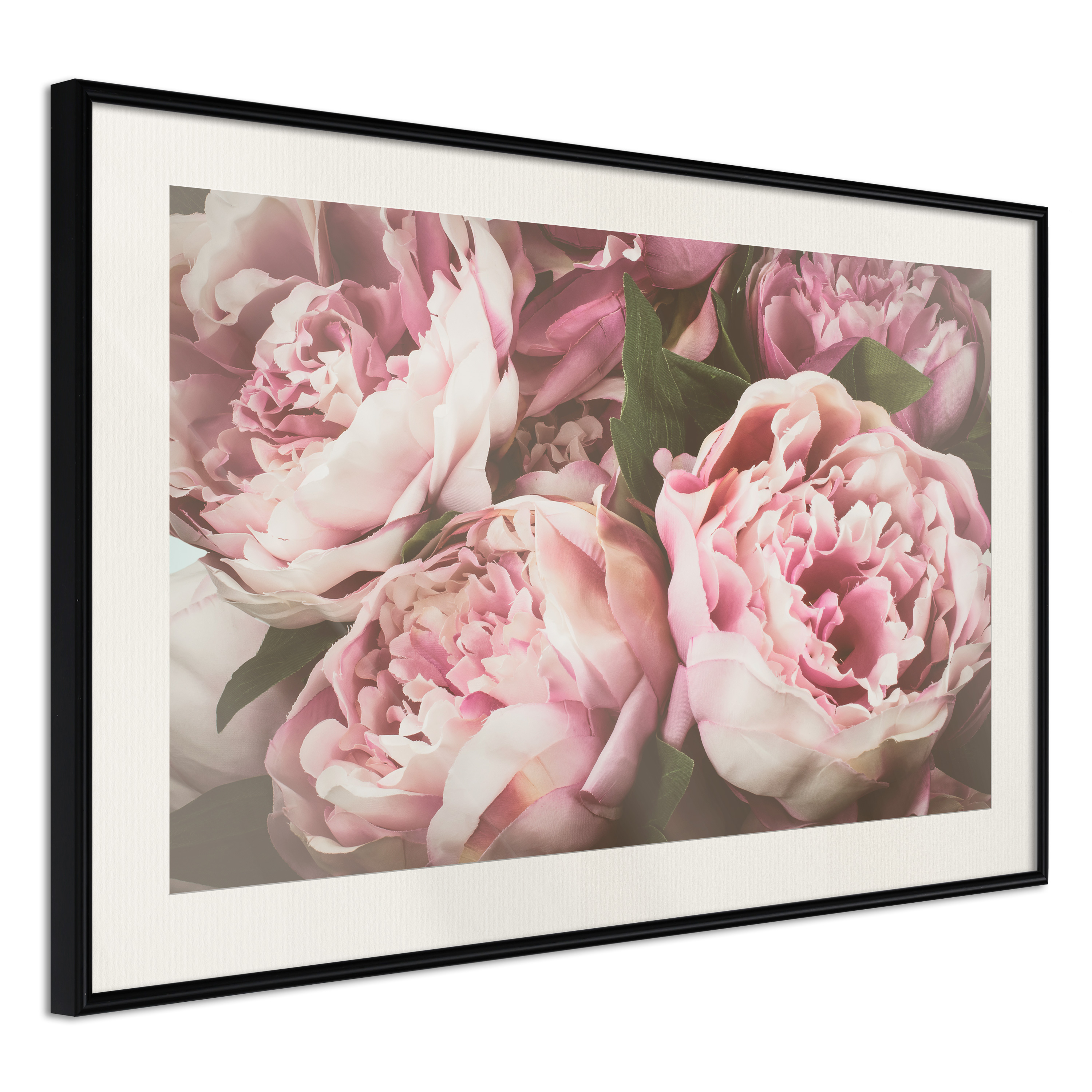 Affisch - Pink Peonies [Poster] 45x30 Svart ram med passepartout, 45x30 cm