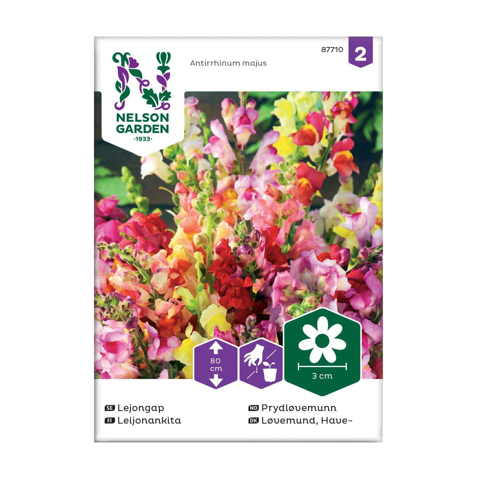 Frö Lejongap Nelson Garden Mix