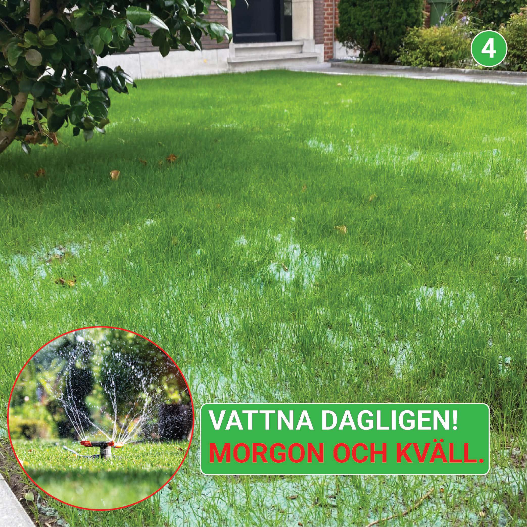 Trädgårdblommor Turfquick Blomfröer Blomsteräng Turfquick Fjäril & Humla 5 kvm