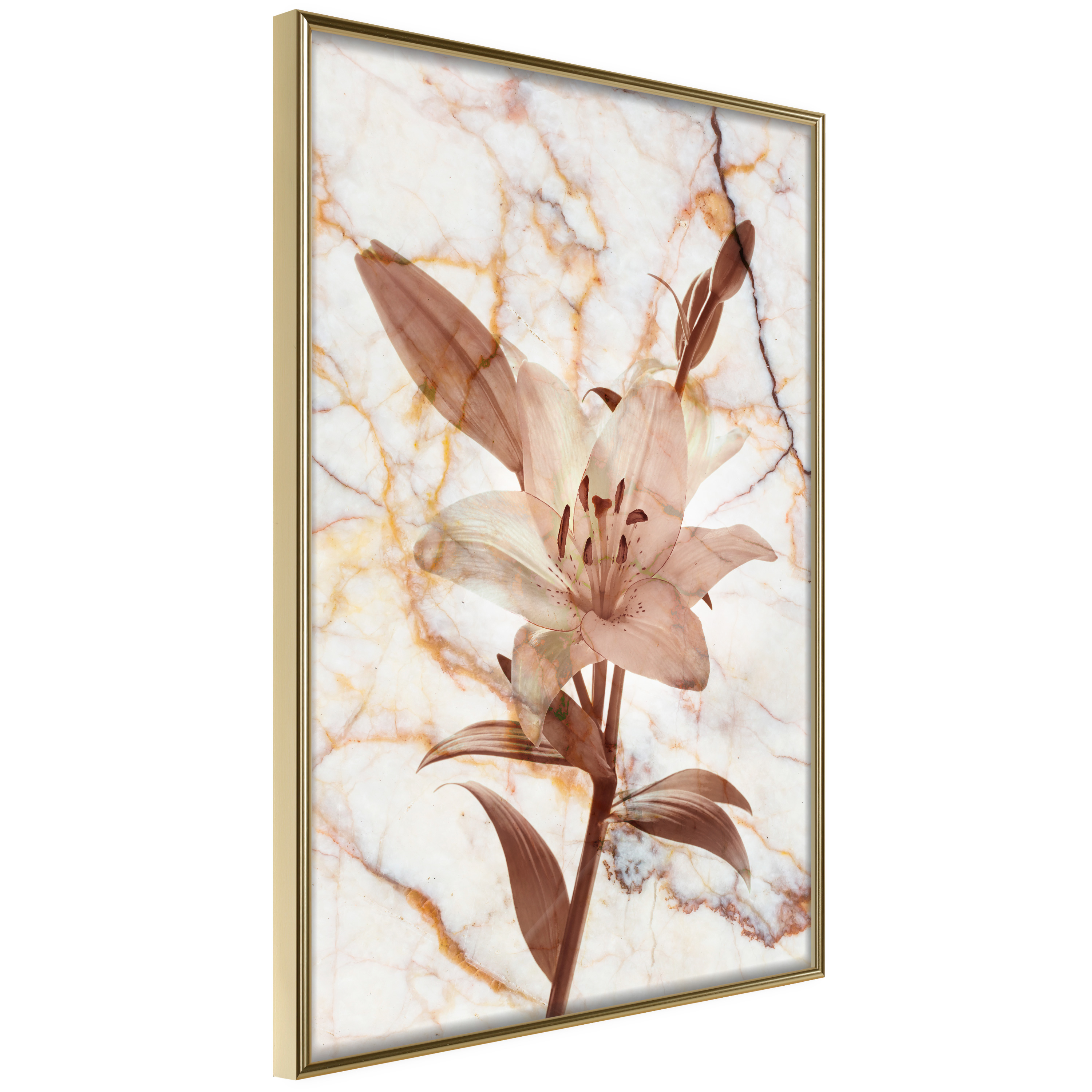 Affisch - Milan Lily [Poster] 30x45 Guld ram, 30x45 cm