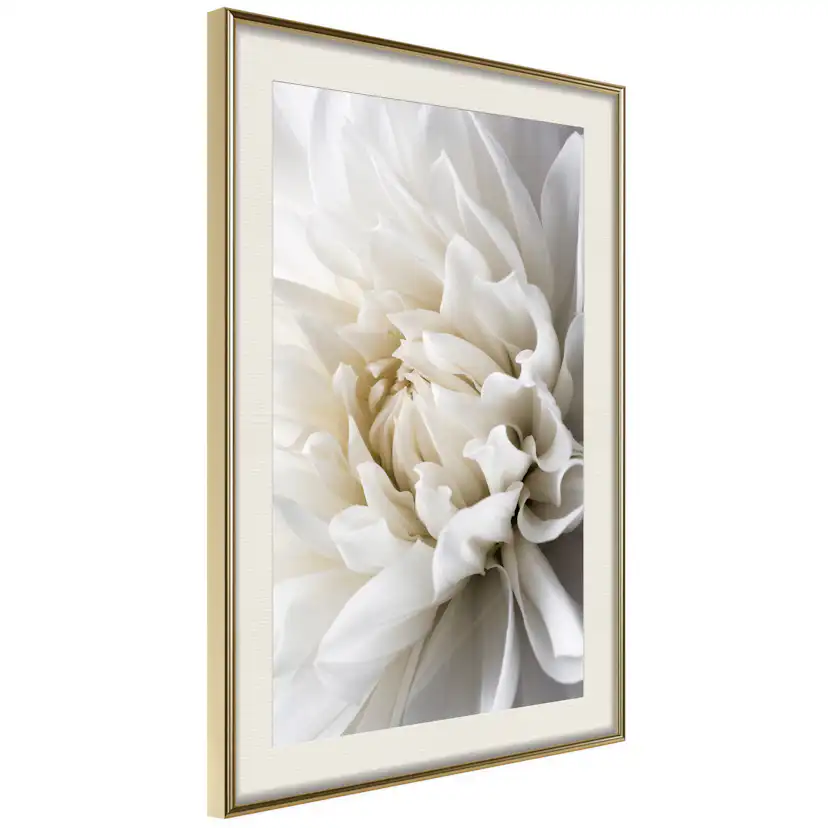 Poster Artgeist Affisch White Dahlia