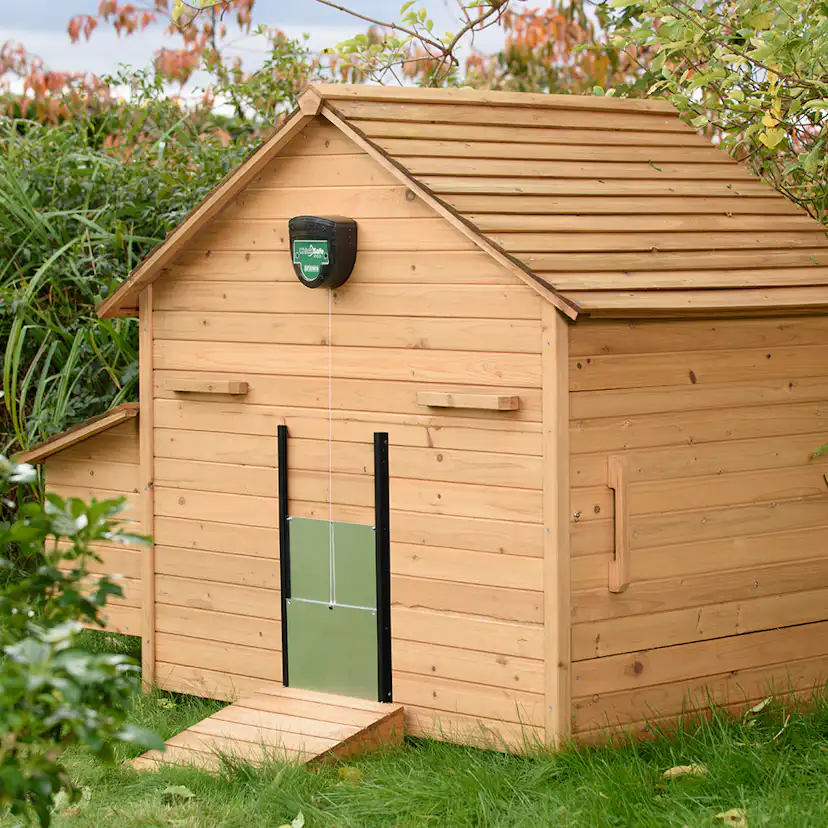 Lucköppnare Brinsea ChickSafe Eco Inkl. Dörr