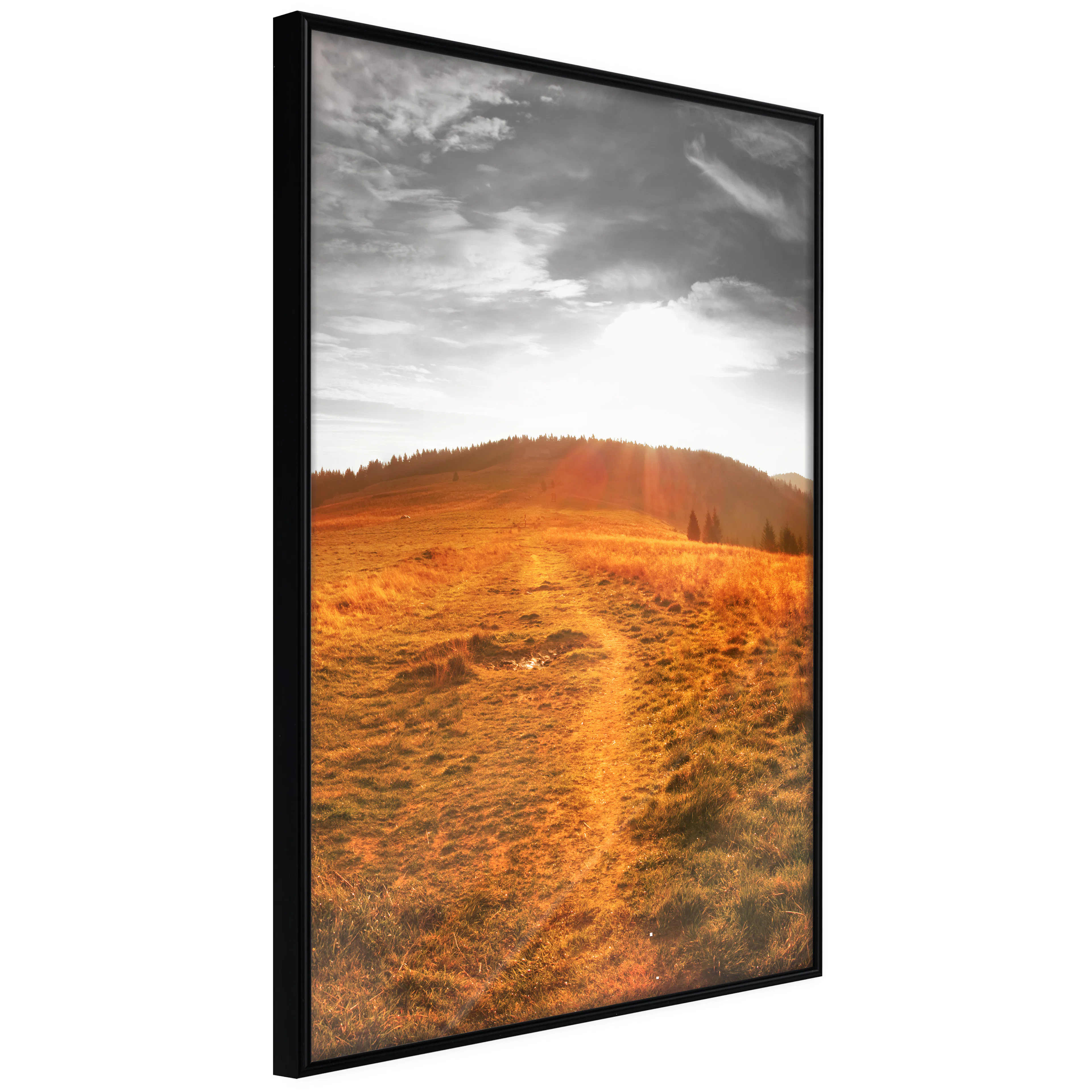 Affisch - Idyll [Poster] 40x60 Svart ram, 40x60 cm