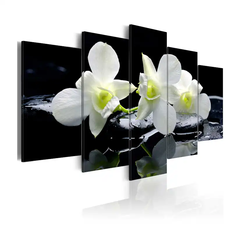 Tavla Arkiio Melancholic Orchids