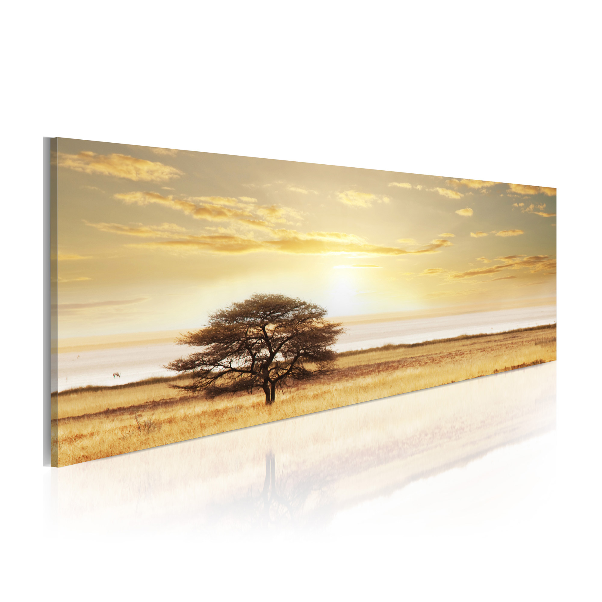 Tavla Arkiio Lonely Tree On Savannah