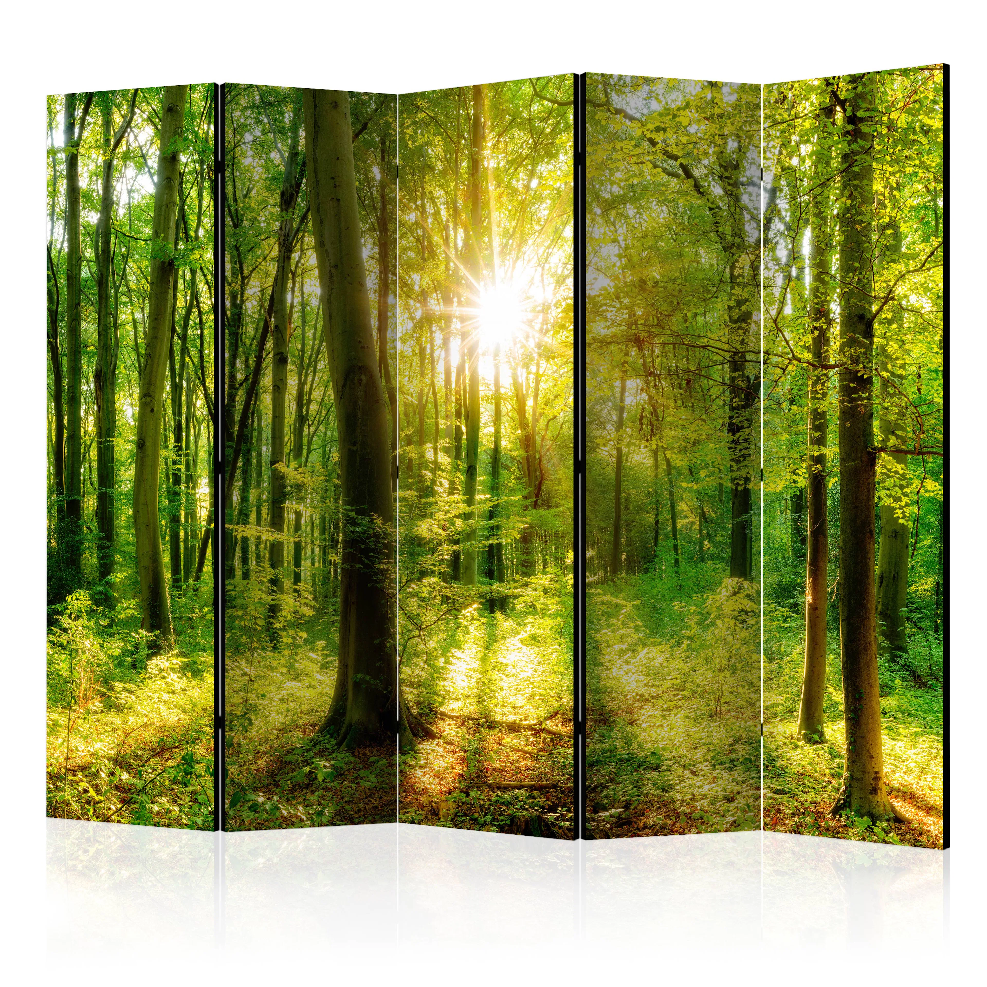 Rumsavdelare Arkiio Forest Rays II 225x172 cm