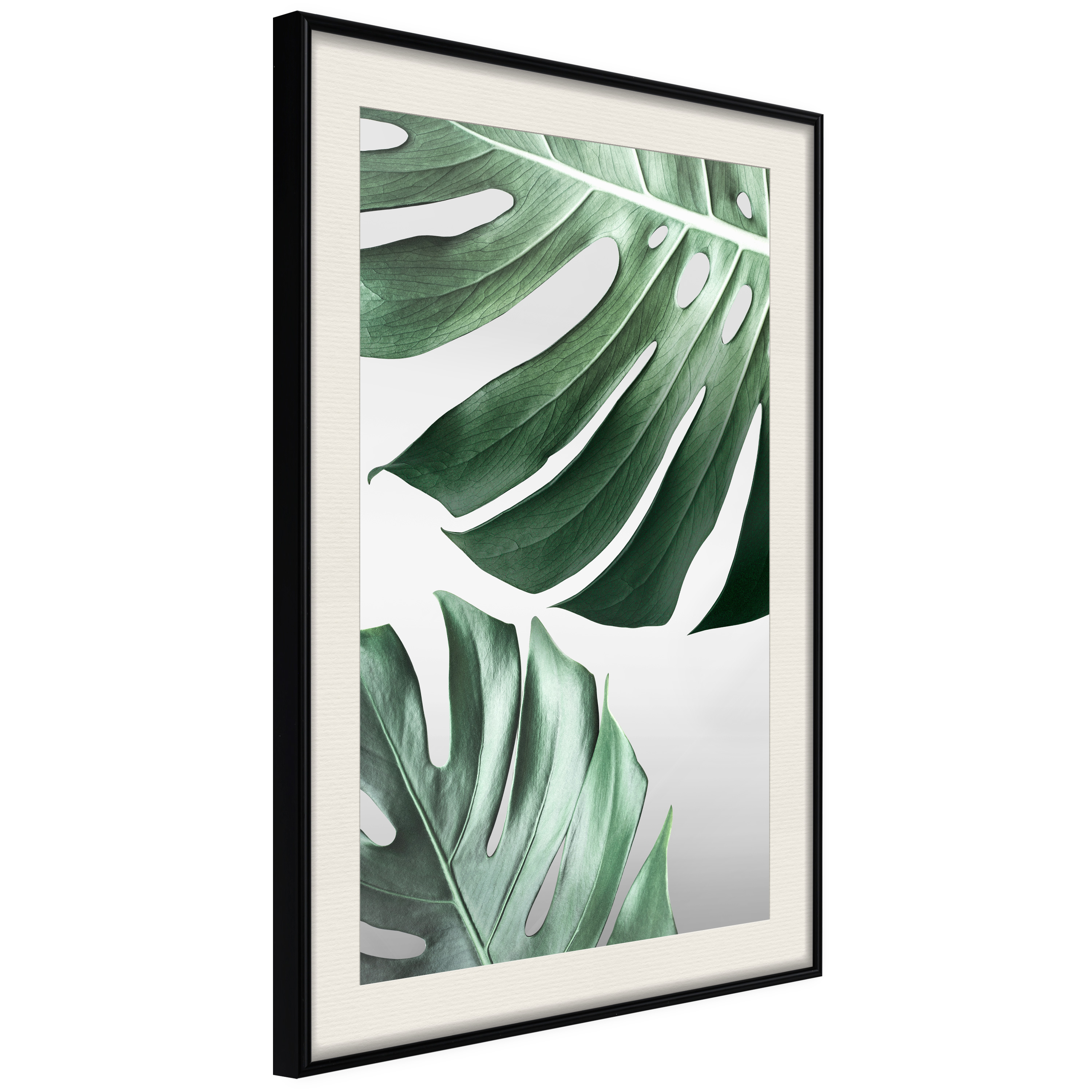 Affisch - Monstera Leaves [Poster] 20x30 Svart ram med passepartout, 20x30 cm