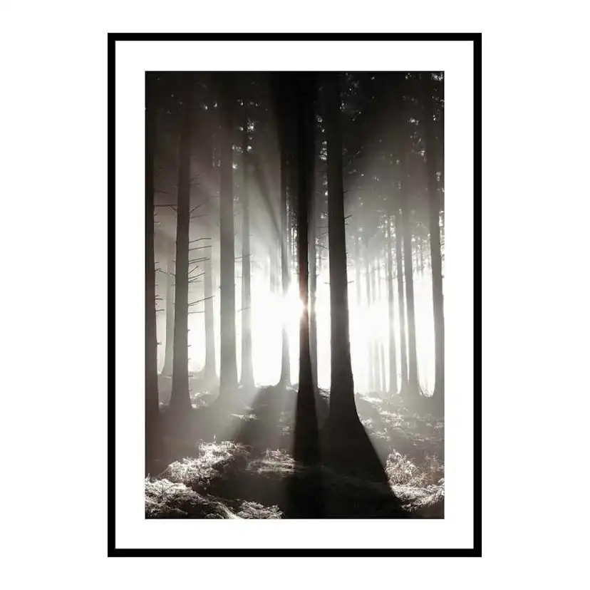 Poster Gallerix Misty Autumn Morning