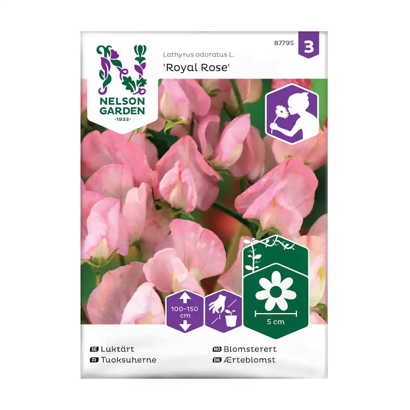 Frö Luktärt Nelson Garden Royal Ros Rosa