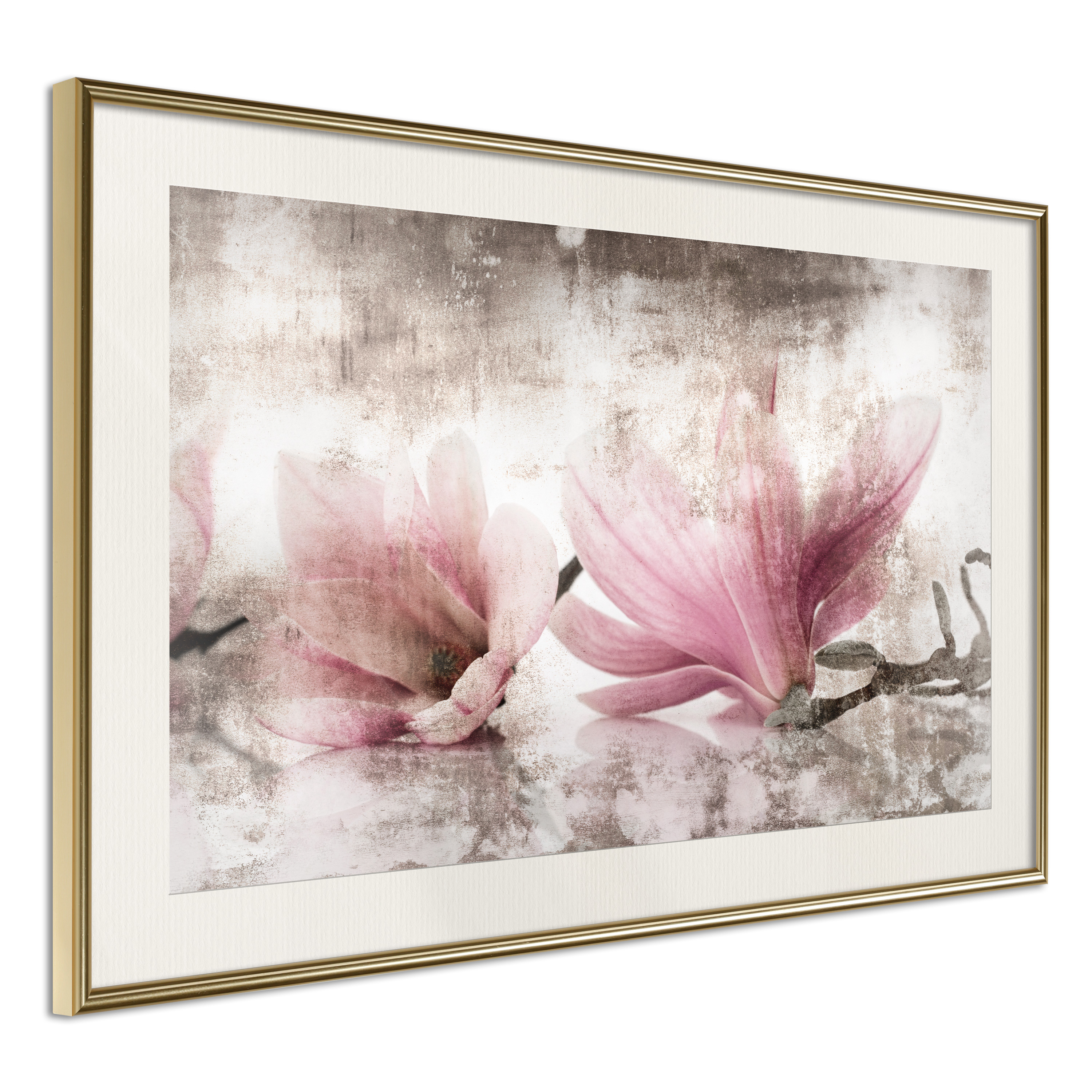 Poster Artgeist Affisch Magnolia Memory