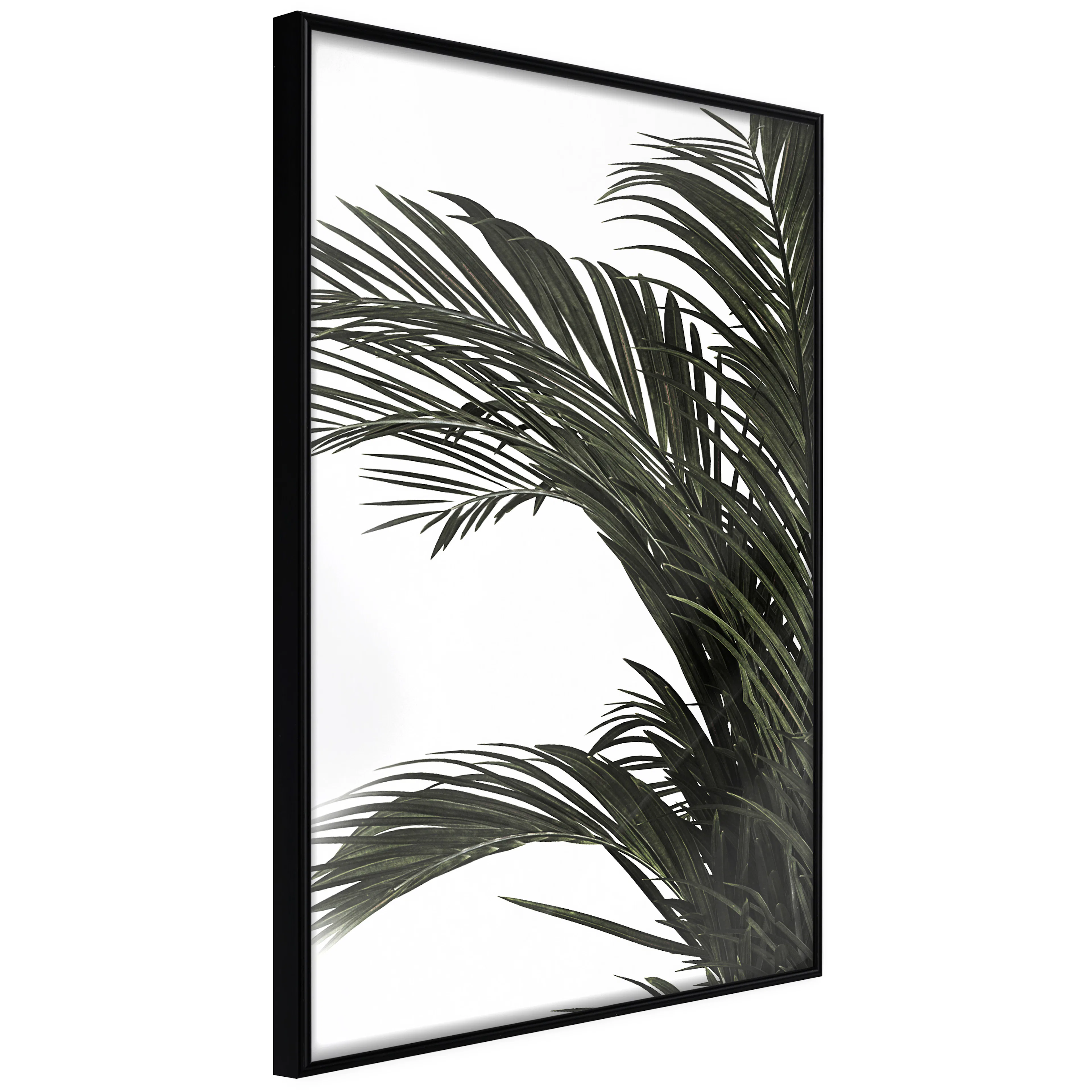Affisch - Jungle Treasures [Poster] 40x60 Svart ram, 40x60 cm