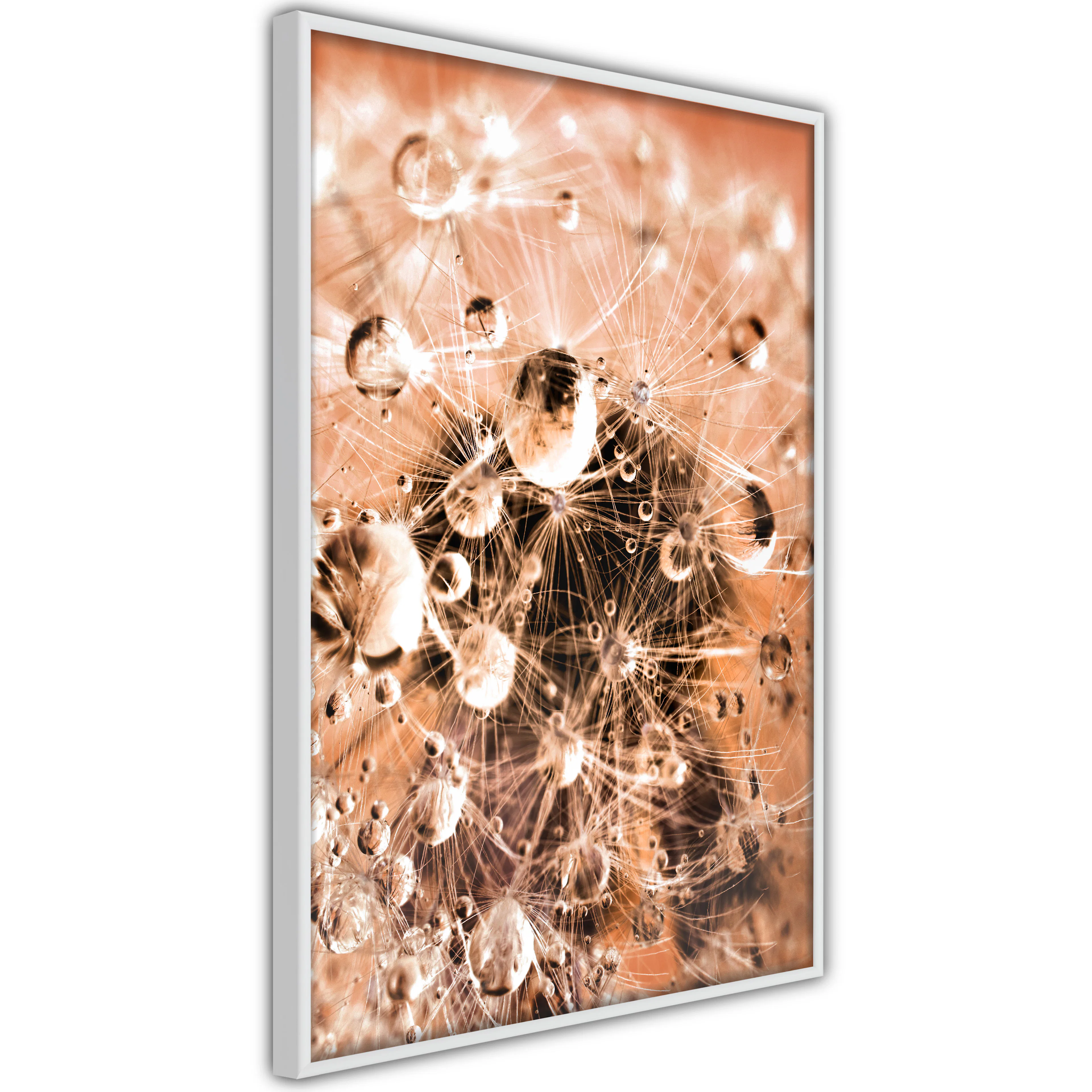 Poster Artgeist Affisch Morning Moments