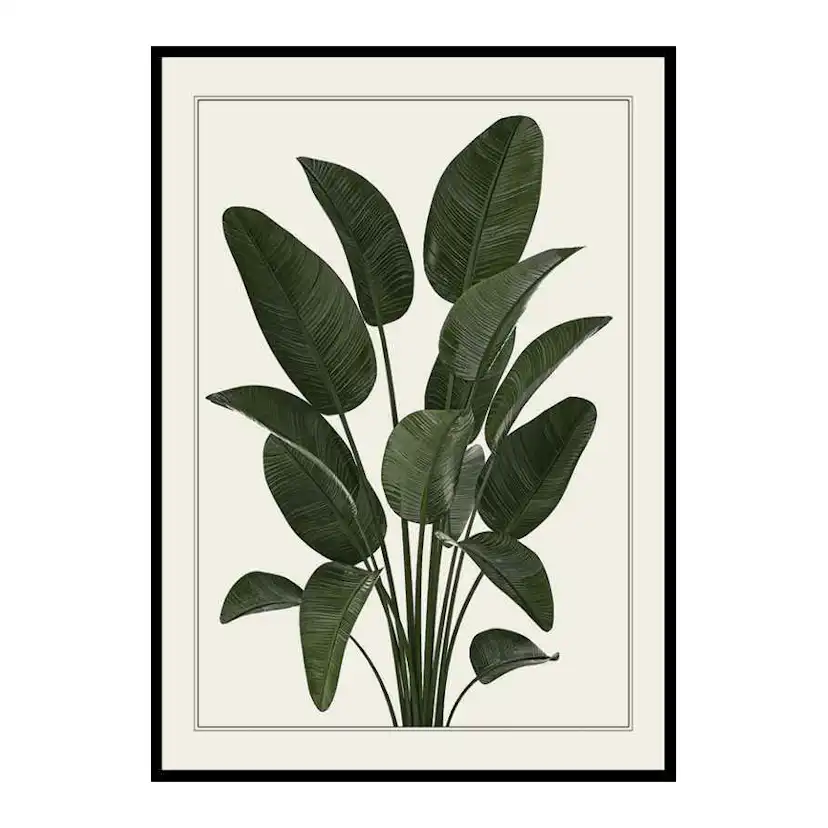 Poster Gallerix Strelitzia