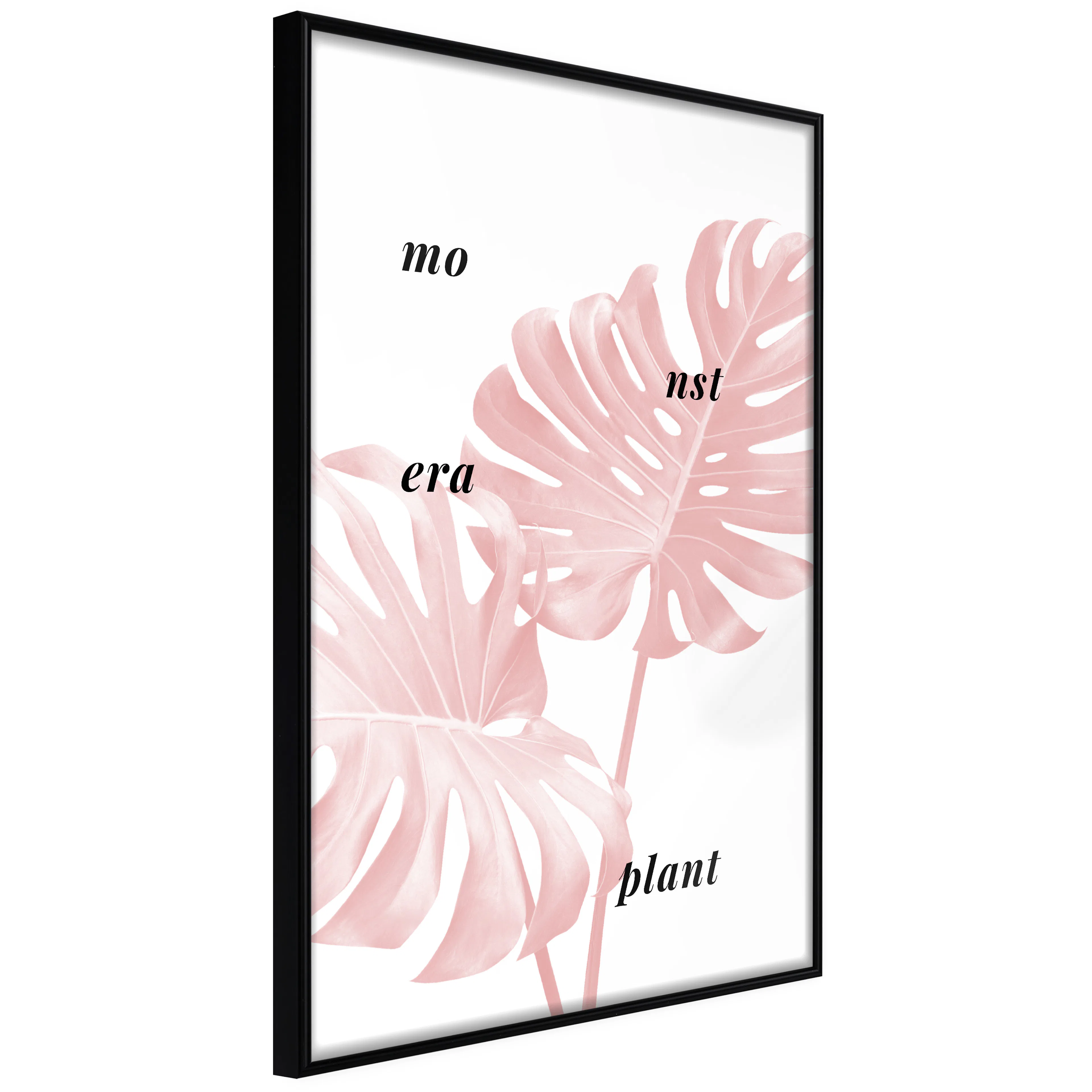 Affisch - Monstera Plant [Poster] 40x60 Svart ram, 40x60 cm
